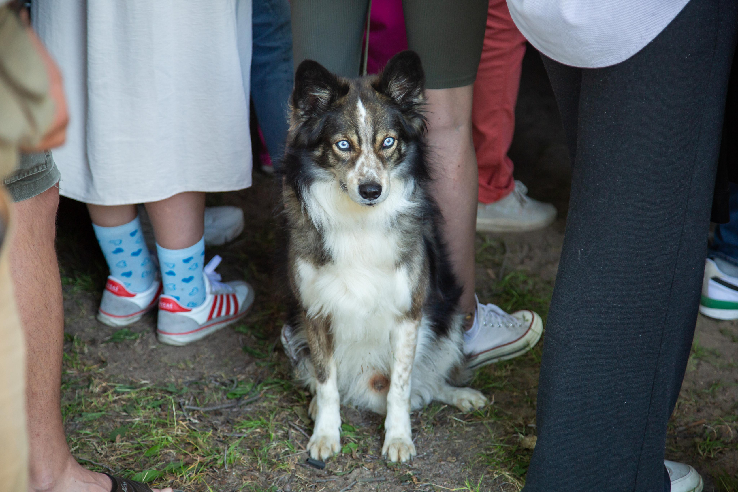 МЕРОПРИЯТИЯ РЕПОРТАЖ. Свадебный фотограф Санкт-Петербург Катерина Ширяева
