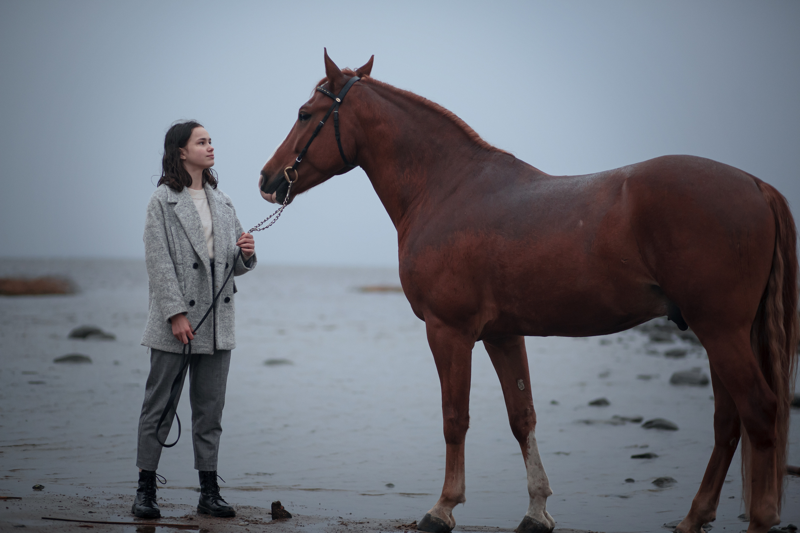 ФОТОСЕССИИ С ЖИВОТНЫМИ. Свадебный фотограф Санкт-Петербург Катерина Ширяева