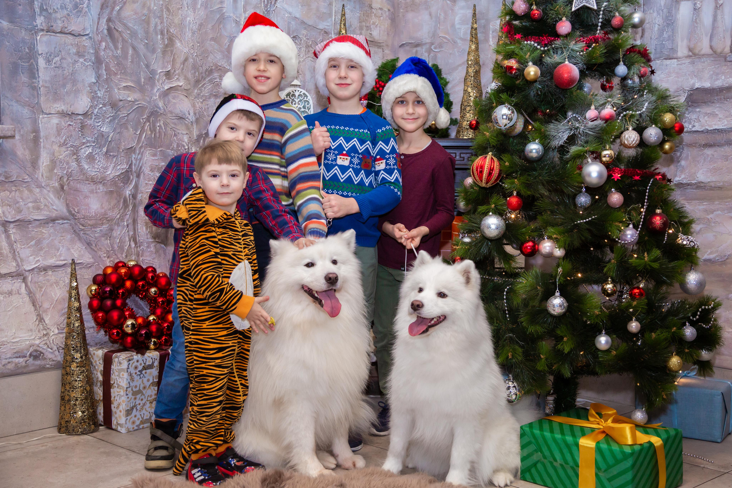 КОРПОРАТИВЫ И ПРАЗДНИКИ. Свадебный фотограф Санкт-Петербург Катерина Ширяева