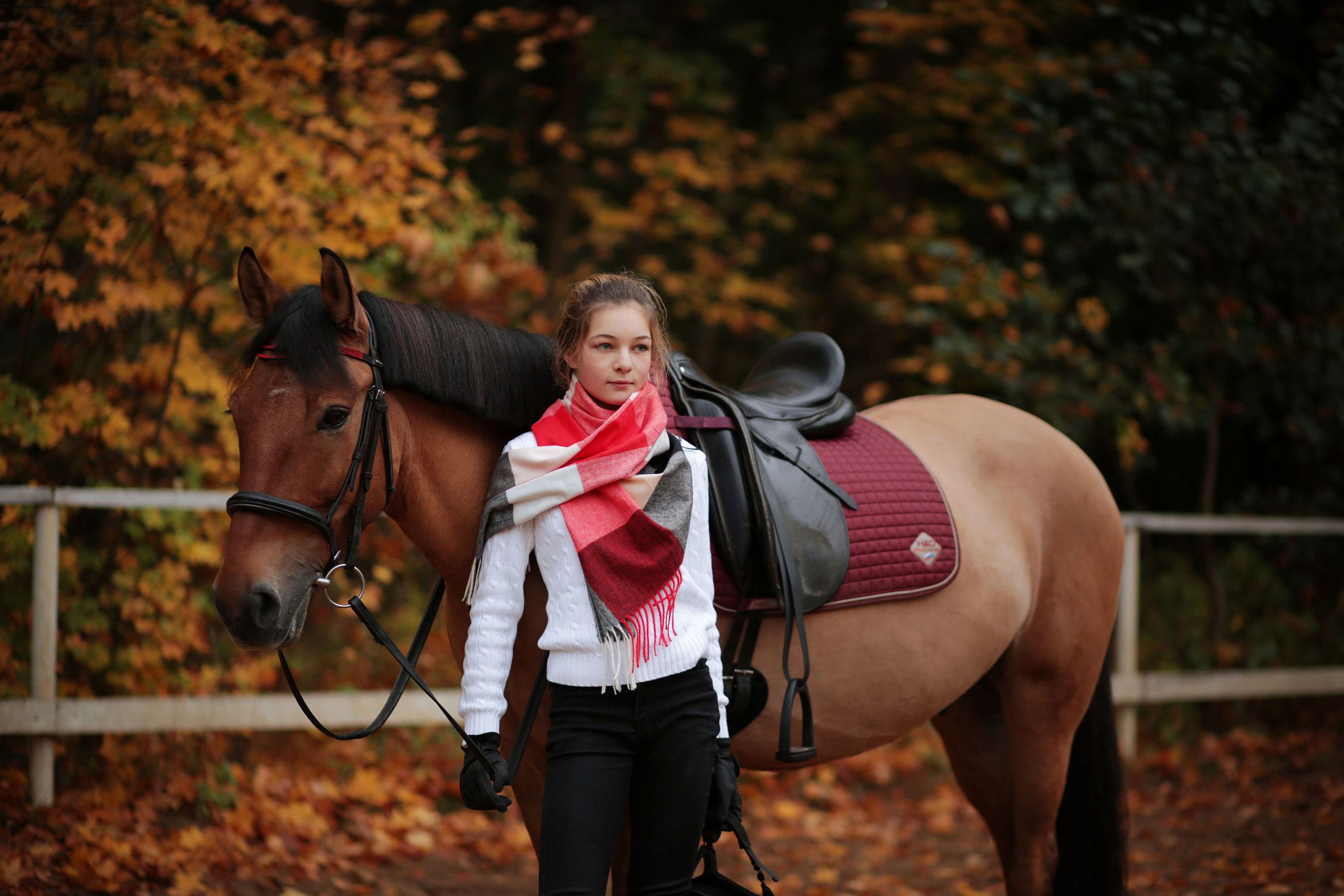 ФОТОСЕССИИ С ЖИВОТНЫМИ. Свадебный фотограф Санкт-Петербург Катерина Ширяева