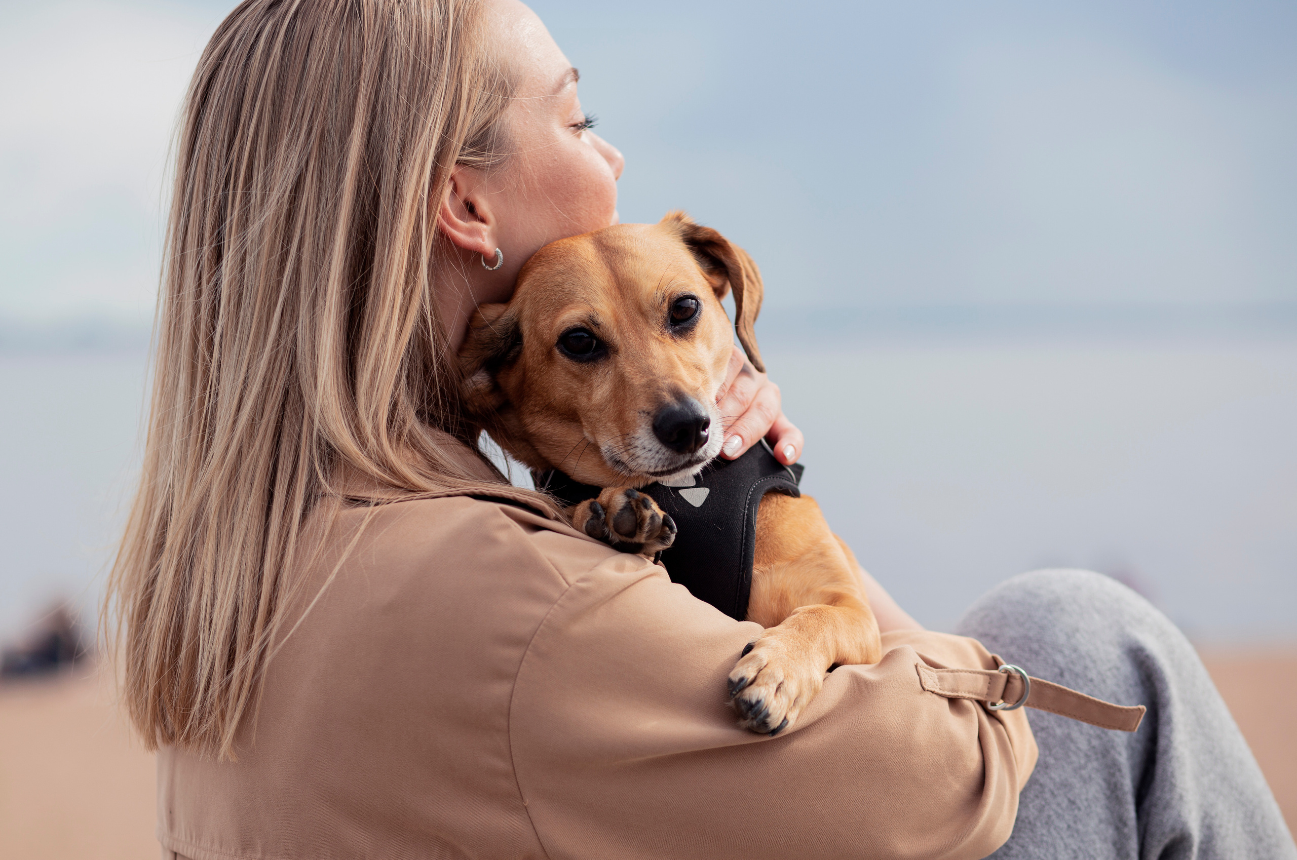 ФОТОСЕССИИ С ЖИВОТНЫМИ. Свадебный фотограф Санкт-Петербург Катерина Ширяева