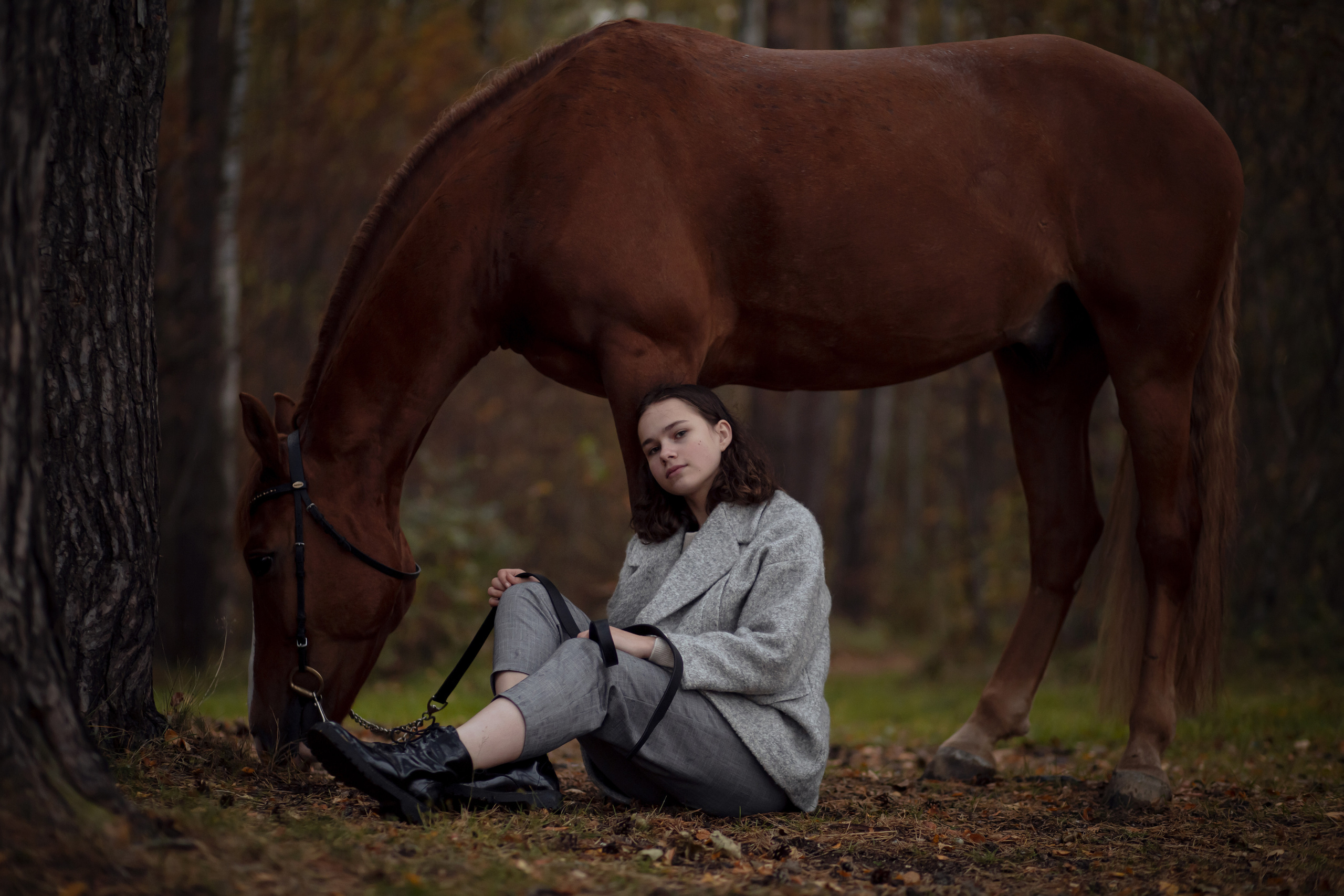 ФОТОСЕССИИ С ЖИВОТНЫМИ. Свадебный фотограф Санкт-Петербург Катерина Ширяева
