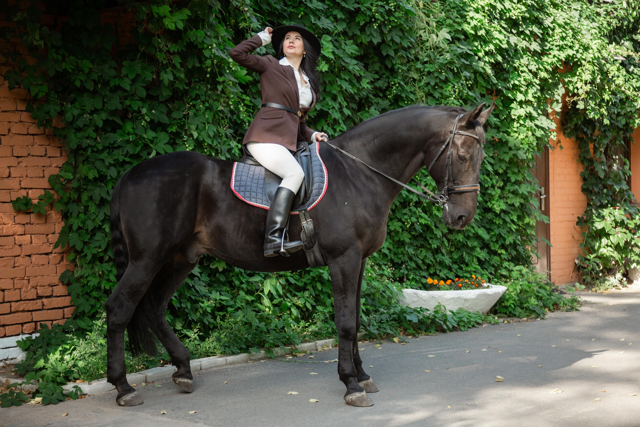 ФОТОСЕССИИ С ЖИВОТНЫМИ. Свадебный фотограф Санкт-Петербург Катерина Ширяева