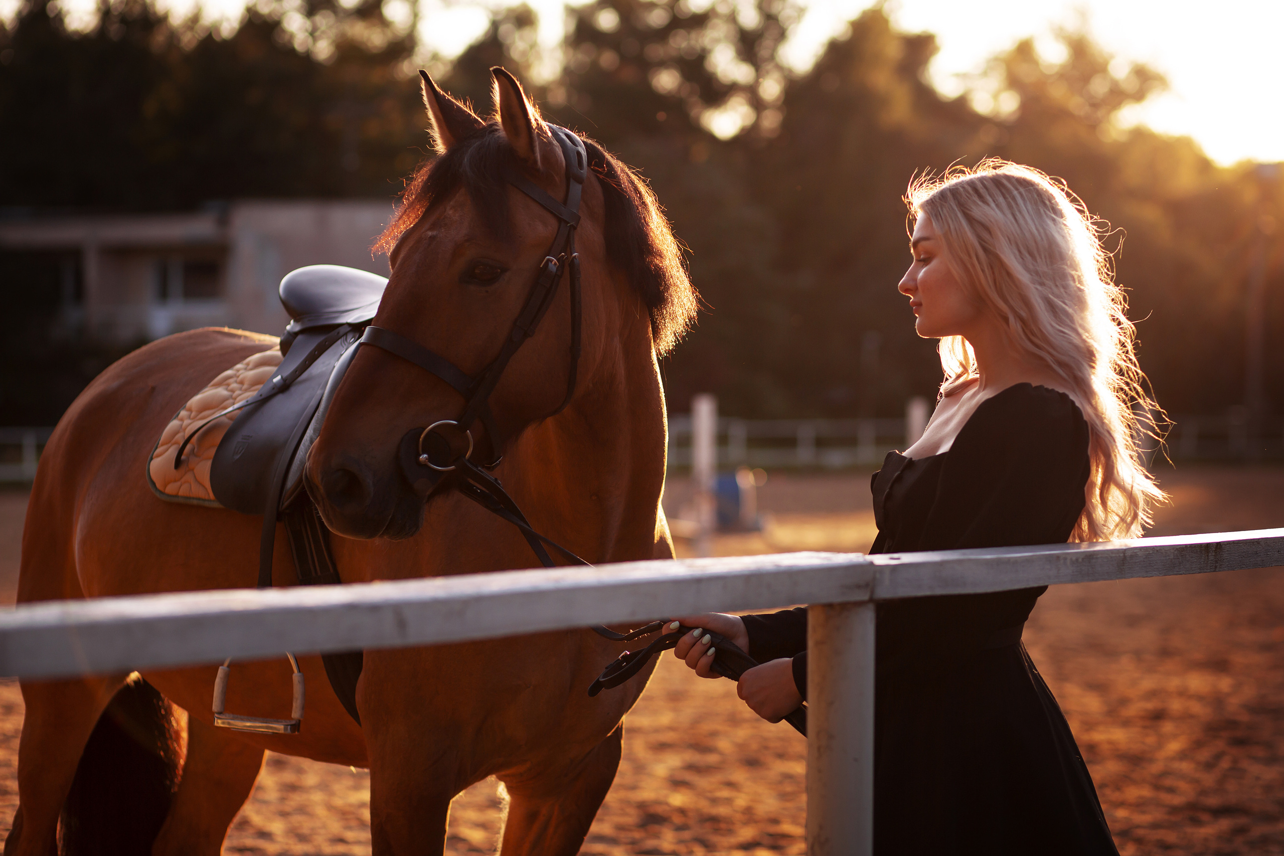 ФОТОСЕССИИ С ЖИВОТНЫМИ. Свадебный фотограф Санкт-Петербург Катерина Ширяева