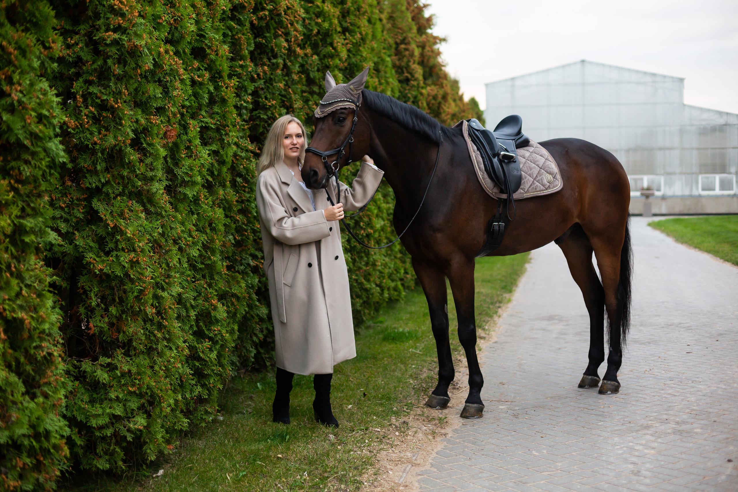 ФОТОСЕССИИ С ЖИВОТНЫМИ. Свадебный фотограф Санкт-Петербург Катерина Ширяева