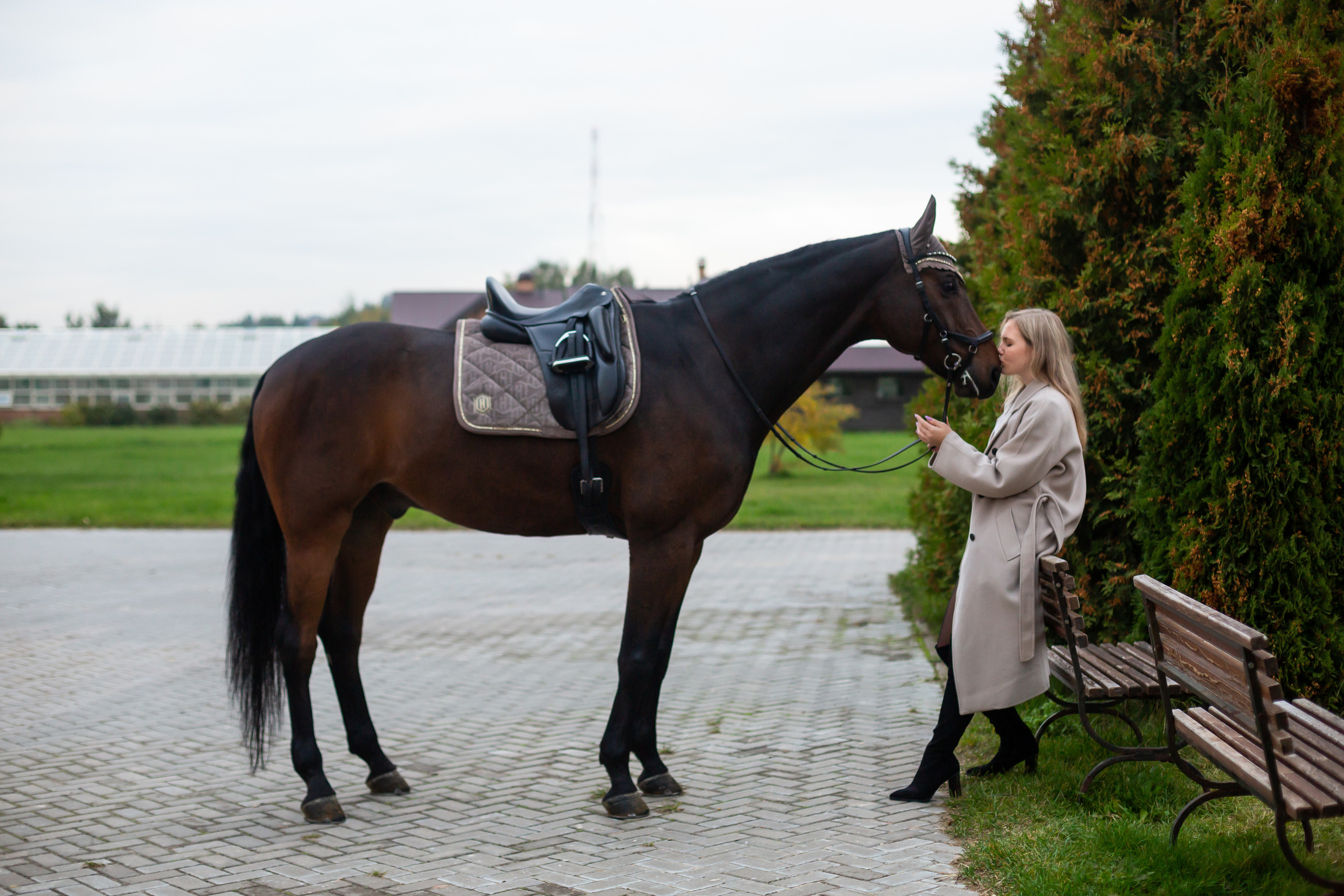ФОТОСЕССИИ С ЖИВОТНЫМИ. Свадебный фотограф Санкт-Петербург Катерина Ширяева