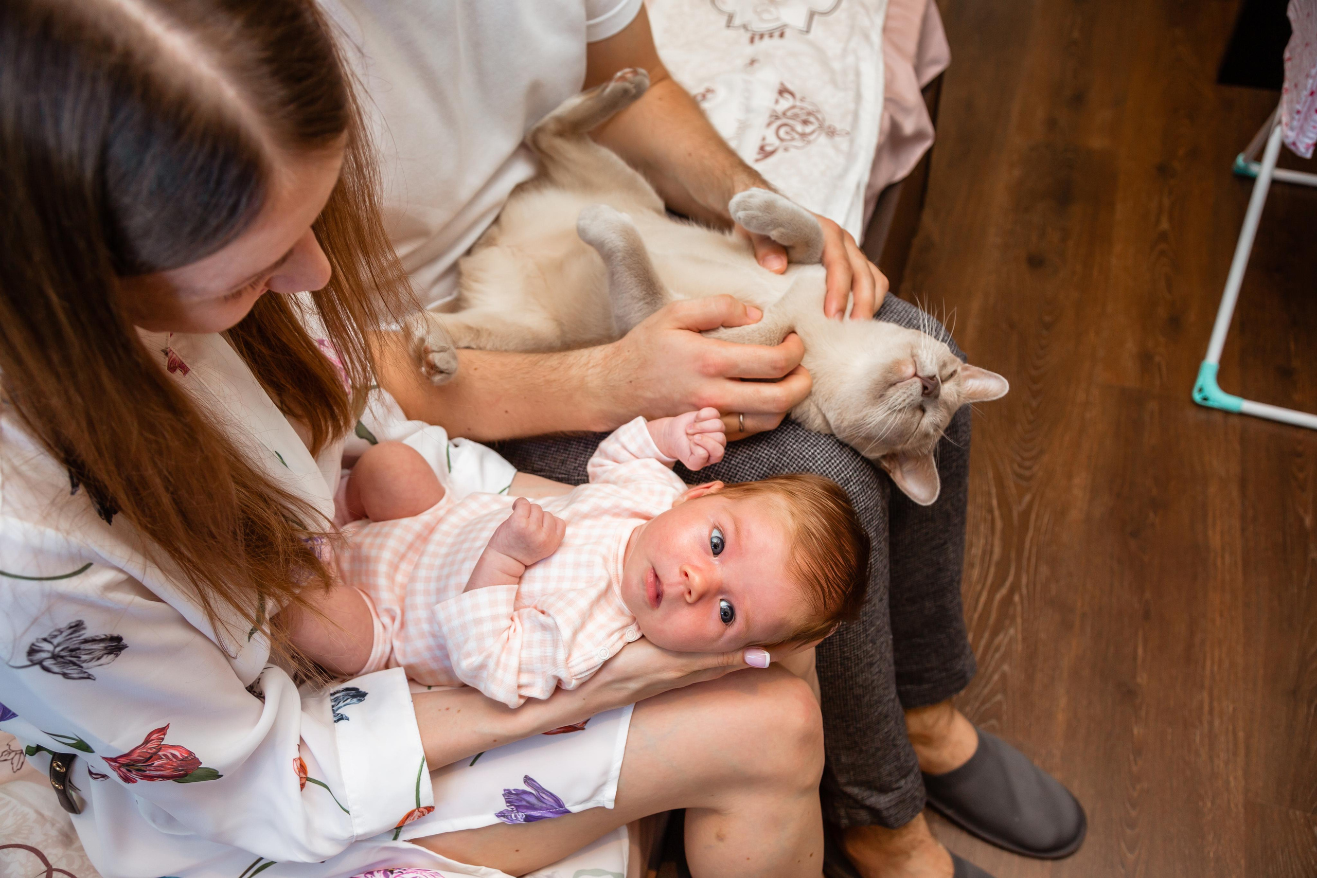 СЕМЬИ. Свадебный фотограф Санкт-Петербург Катерина Ширяева