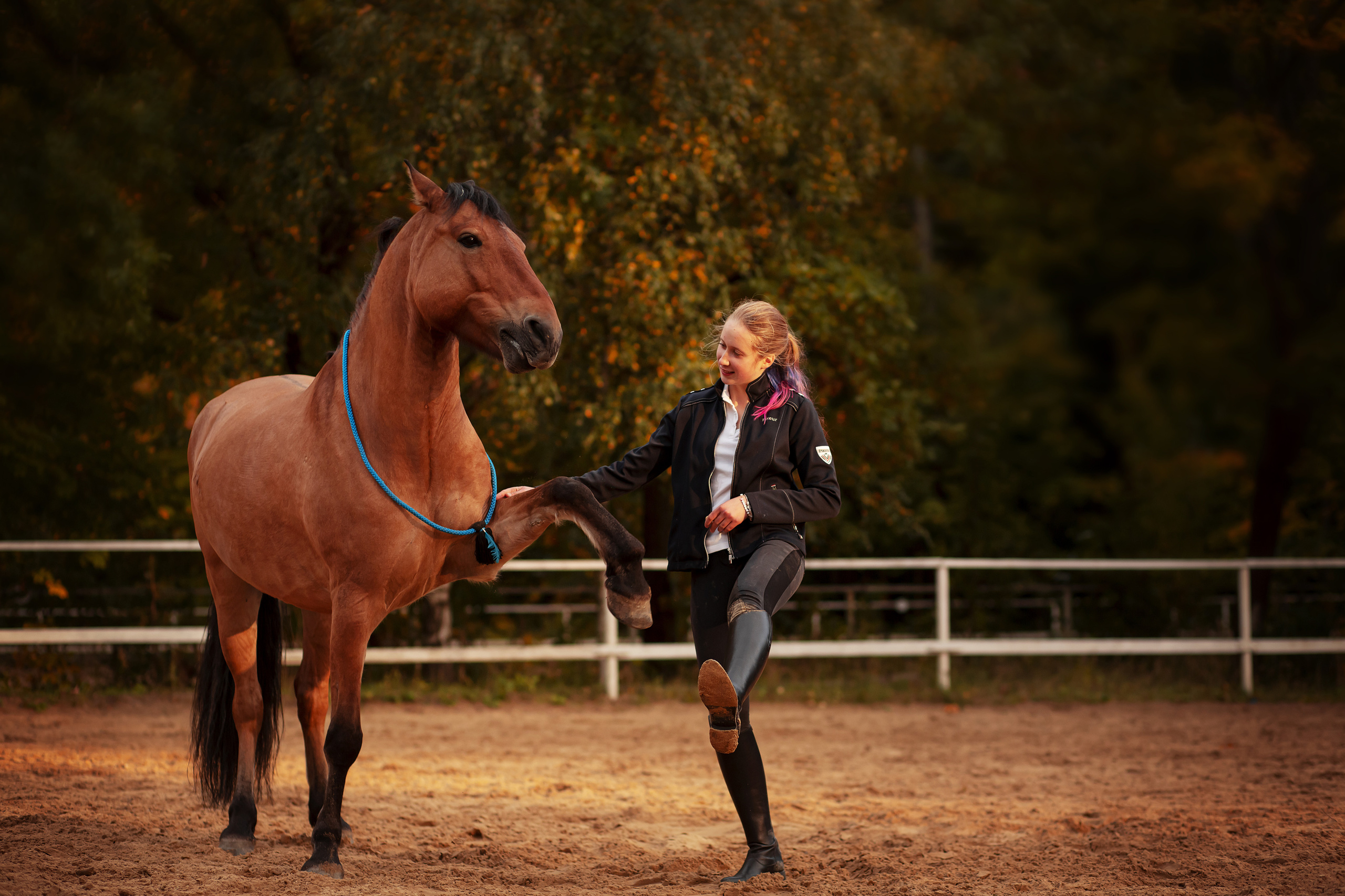 ФОТОСЕССИИ С ЖИВОТНЫМИ. Свадебный фотограф Санкт-Петербург Катерина Ширяева