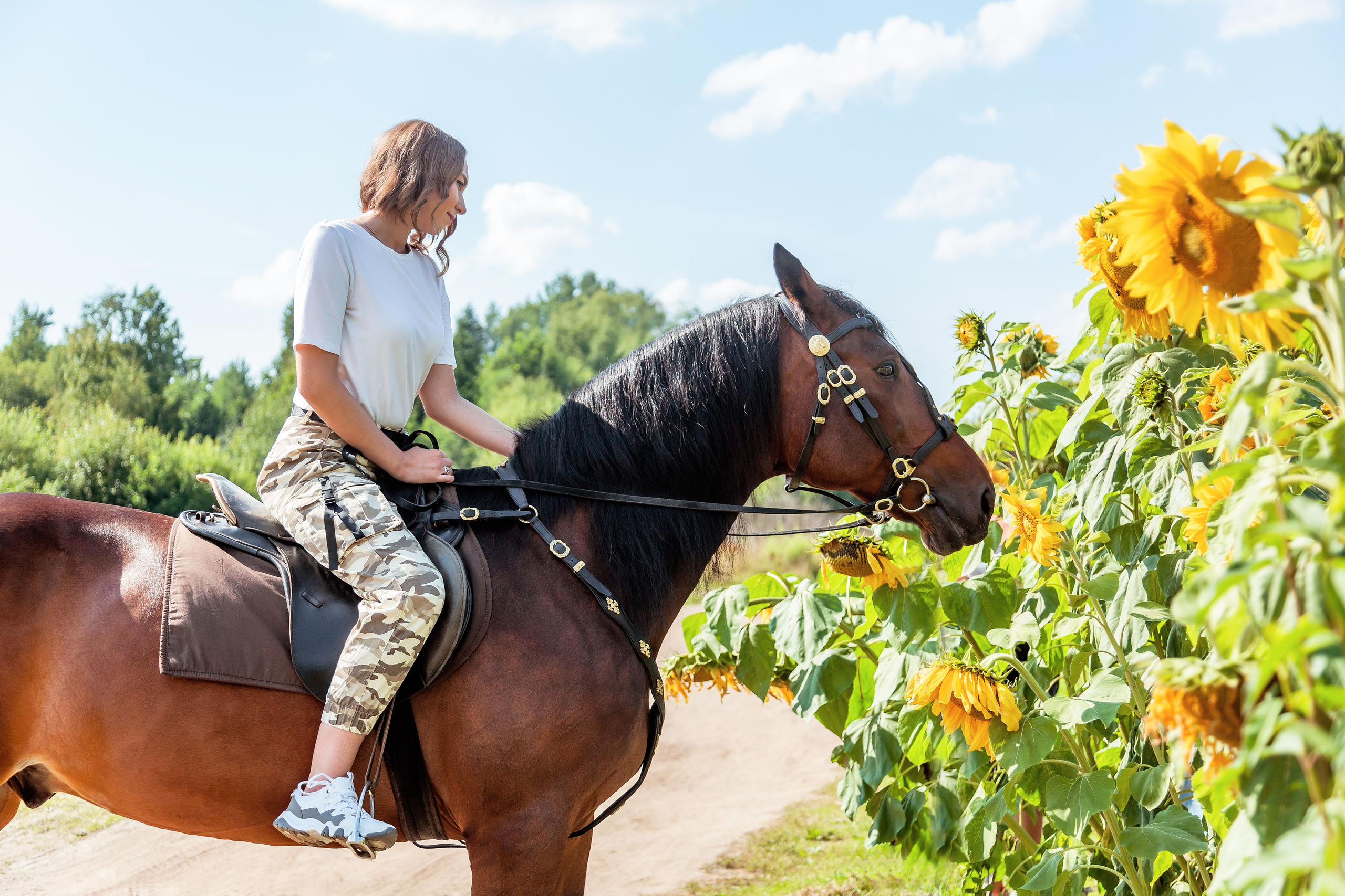 ФОТОСЕССИИ С ЖИВОТНЫМИ. Свадебный фотограф Санкт-Петербург Катерина Ширяева