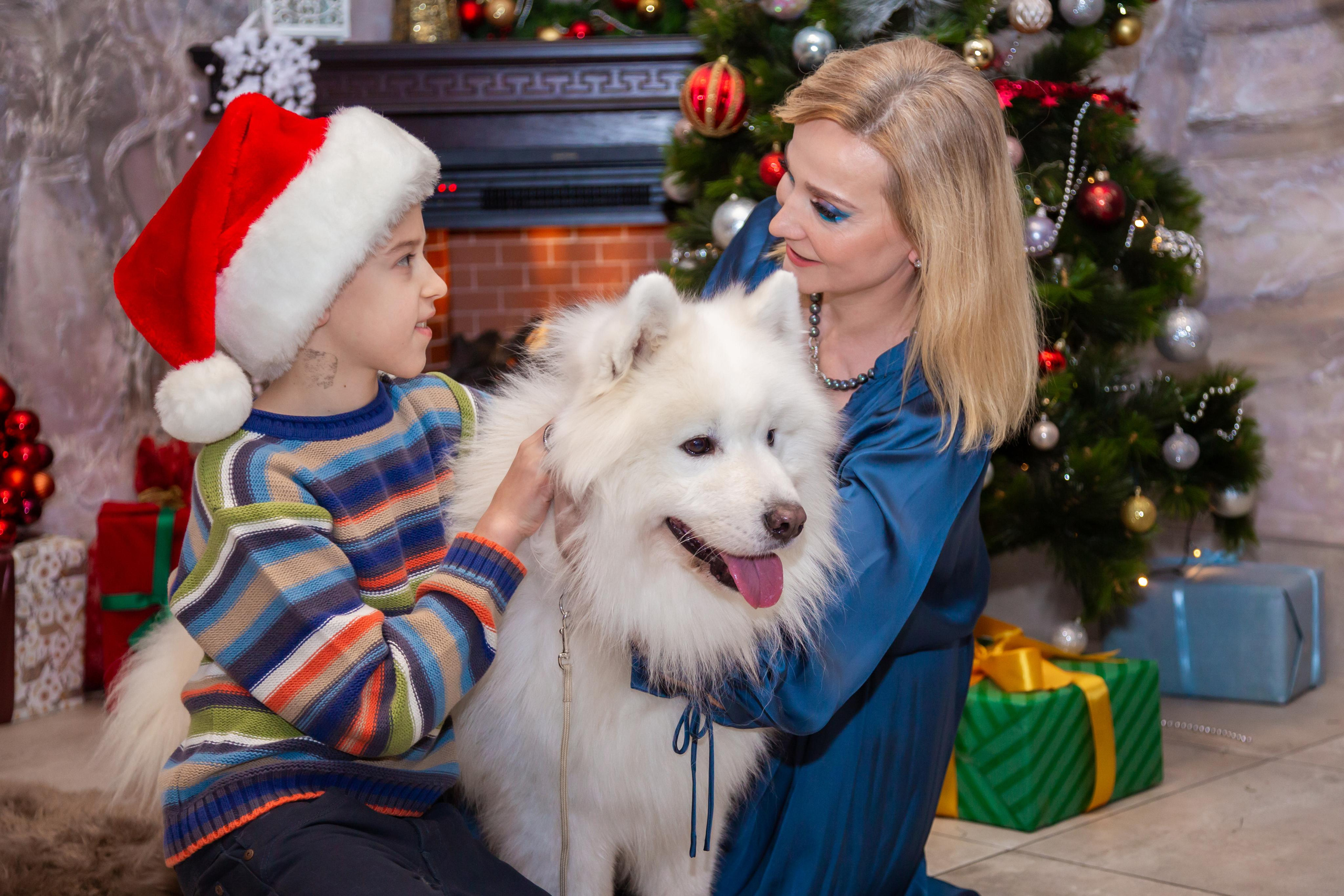 КОРПОРАТИВЫ И ПРАЗДНИКИ. Свадебный фотограф Санкт-Петербург Катерина Ширяева
