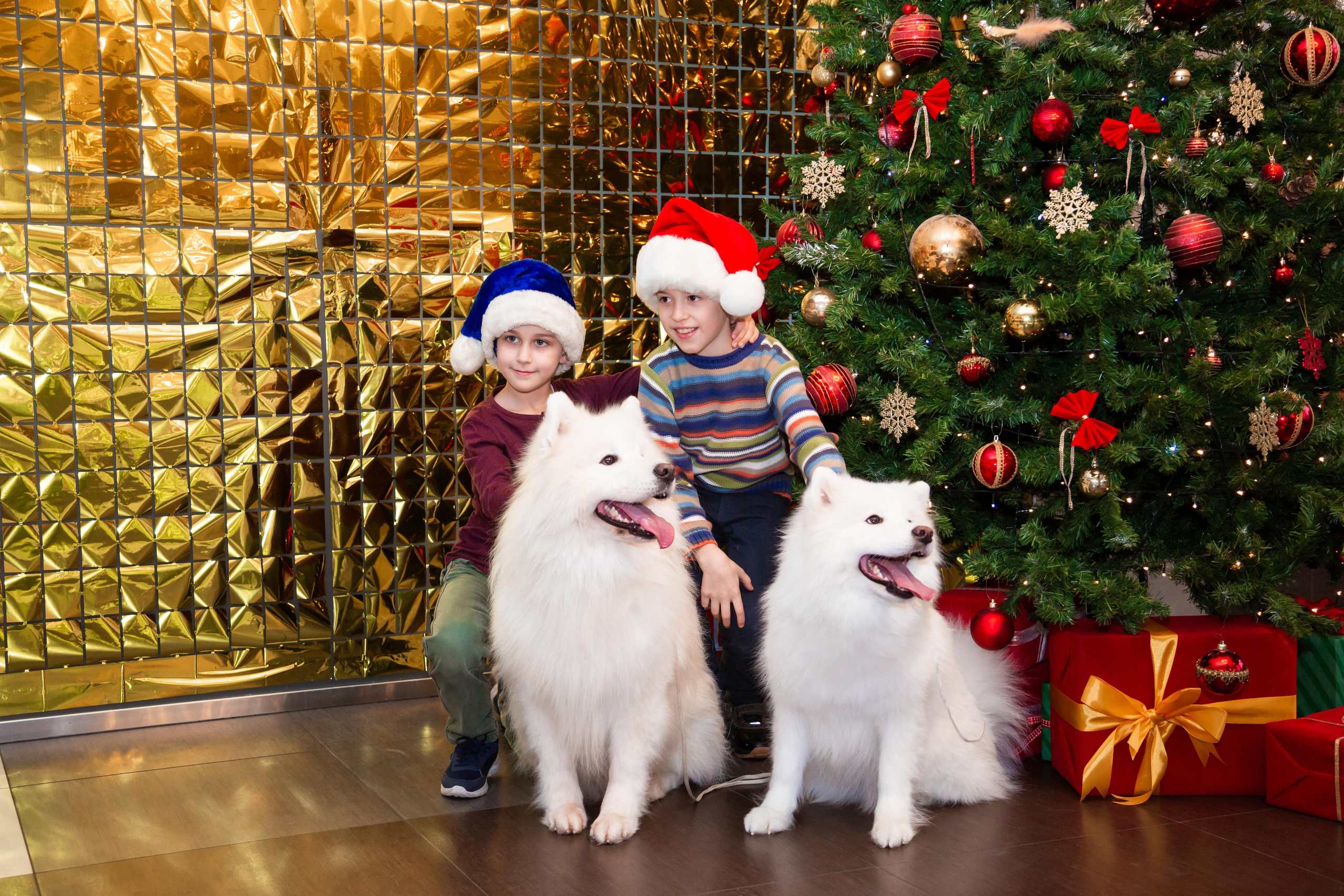 КОРПОРАТИВЫ И ПРАЗДНИКИ. Свадебный фотограф Санкт-Петербург Катерина Ширяева