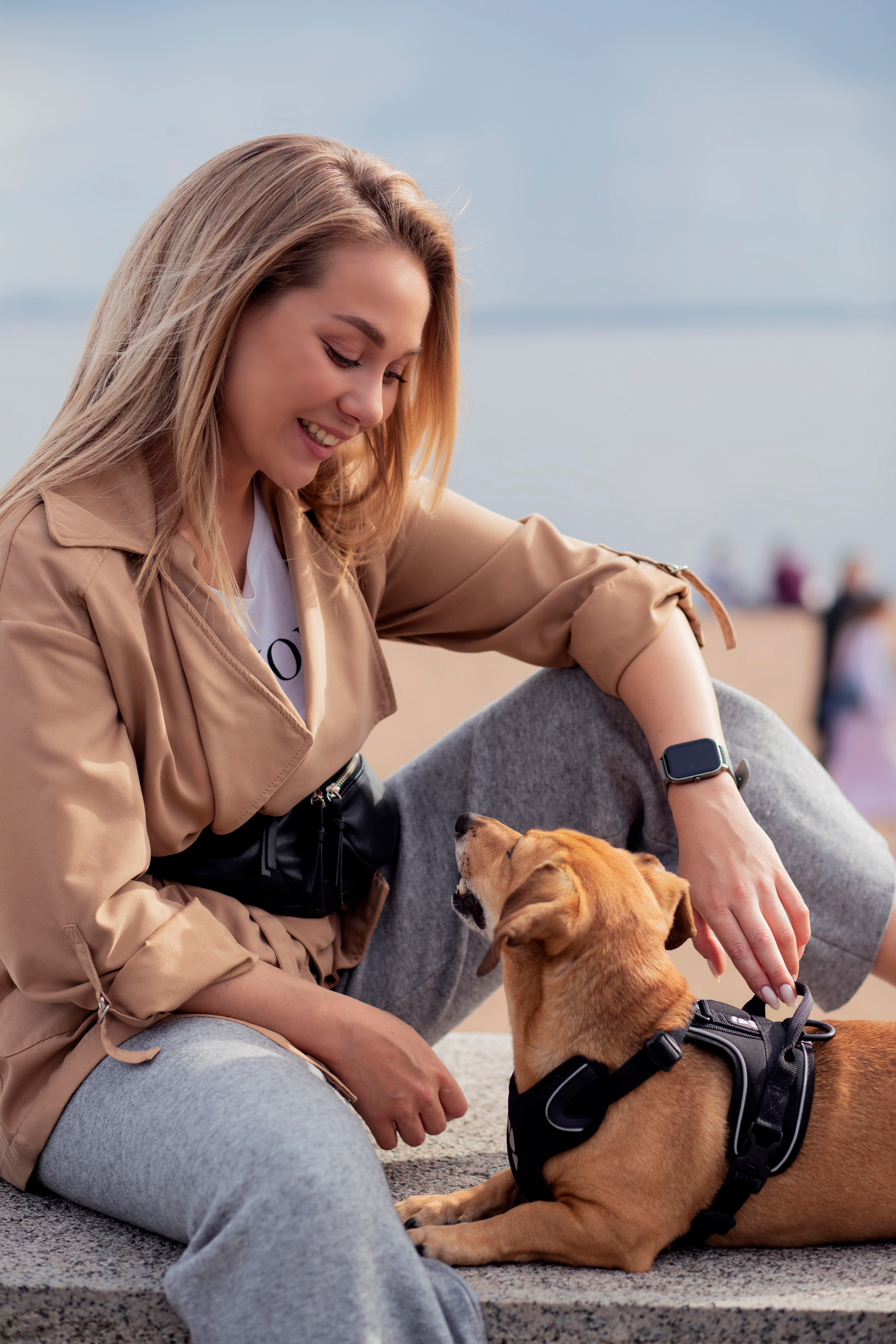 ФОТОСЕССИИ С ЖИВОТНЫМИ. Свадебный фотограф Санкт-Петербург Катерина Ширяева