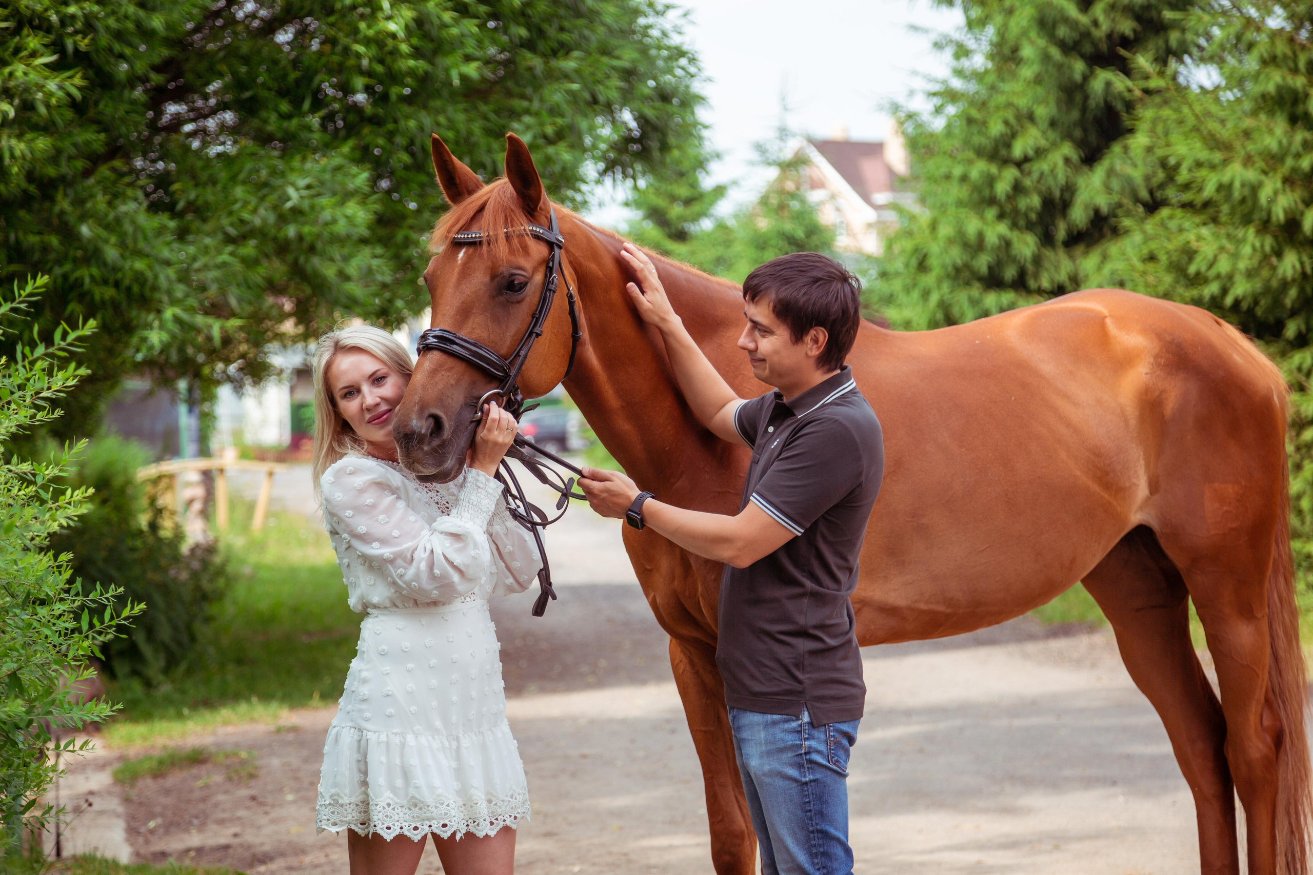 ФОТОСЕССИИ С ЖИВОТНЫМИ. Свадебный фотограф Санкт-Петербург Катерина Ширяева