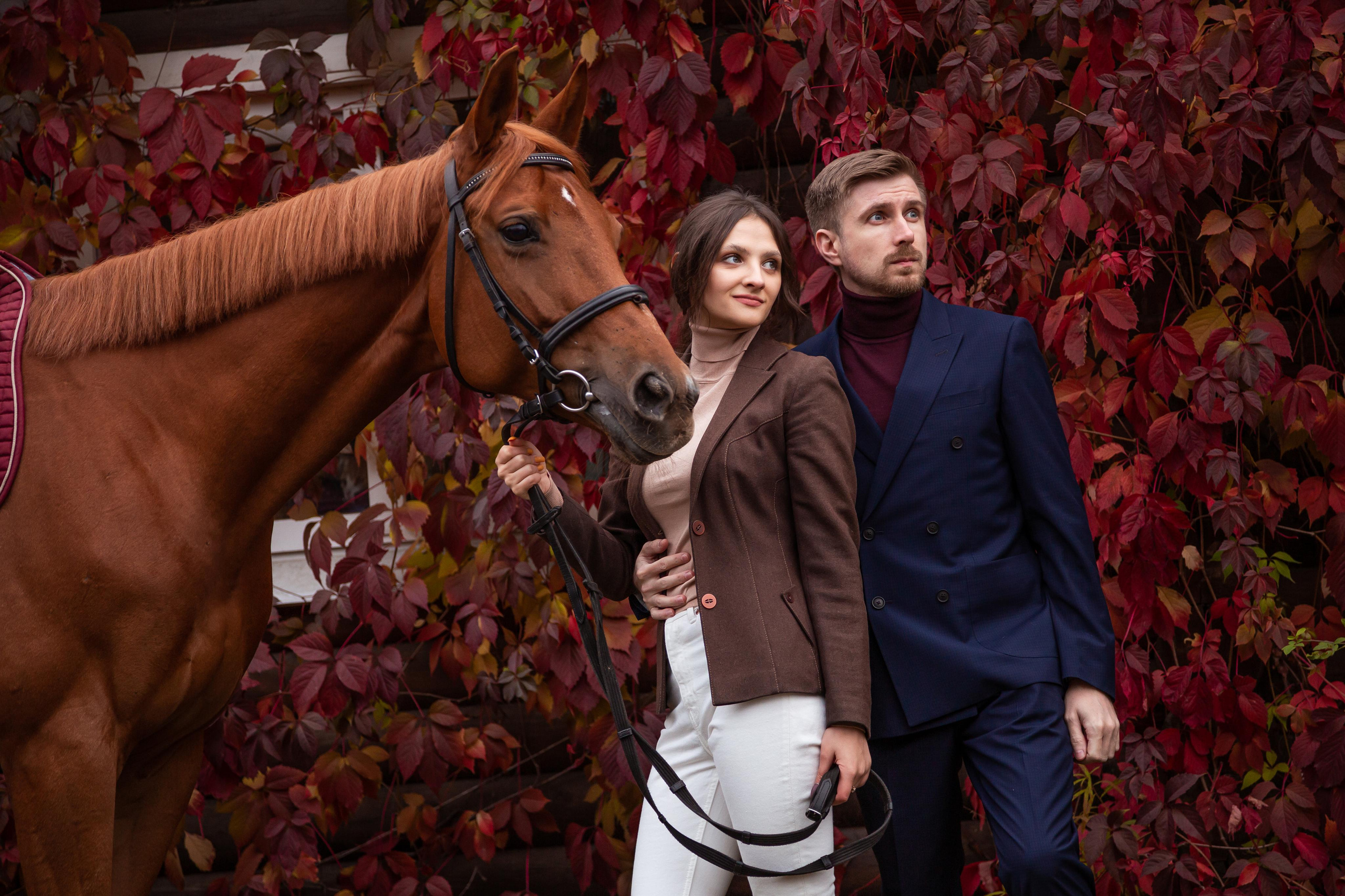 ФОТОСЕССИИ С ЖИВОТНЫМИ. Свадебный фотограф Санкт-Петербург Катерина Ширяева