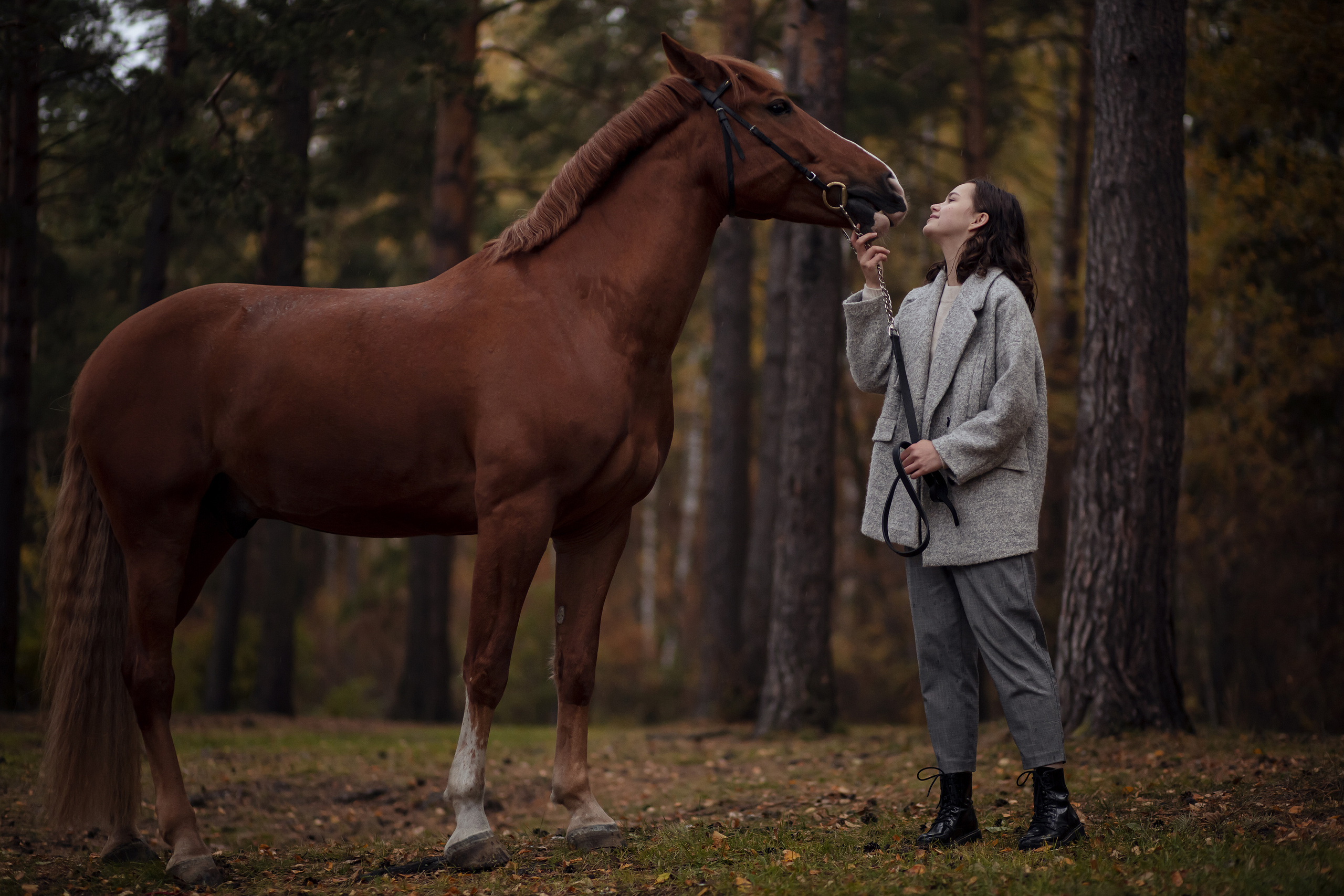 ФОТОСЕССИИ С ЖИВОТНЫМИ. Свадебный фотограф Санкт-Петербург Катерина Ширяева