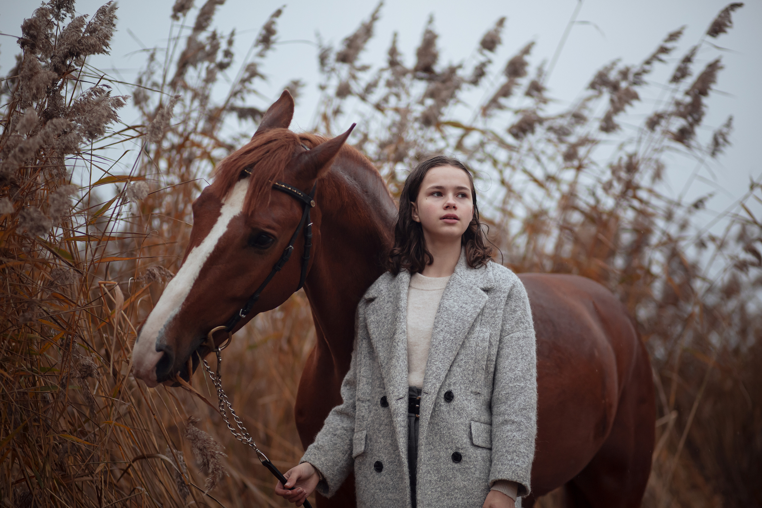 ФОТОСЕССИИ С ЖИВОТНЫМИ. Свадебный фотограф Санкт-Петербург Катерина Ширяева