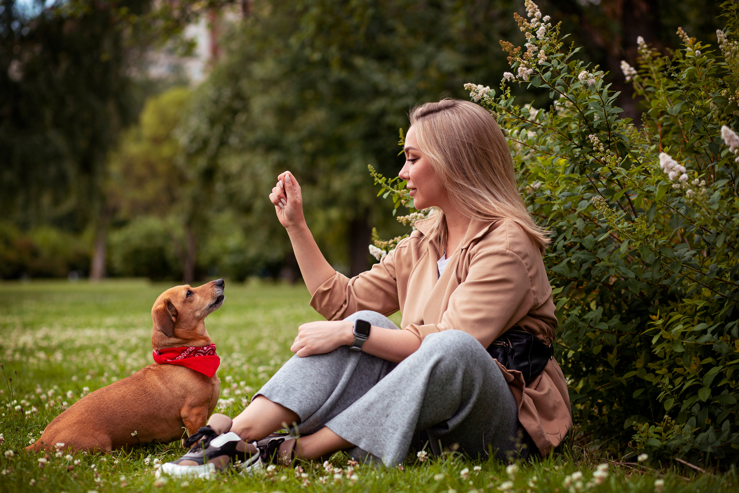 ФОТОСЕССИИ С ЖИВОТНЫМИ. Свадебный фотограф Санкт-Петербург Катерина Ширяева