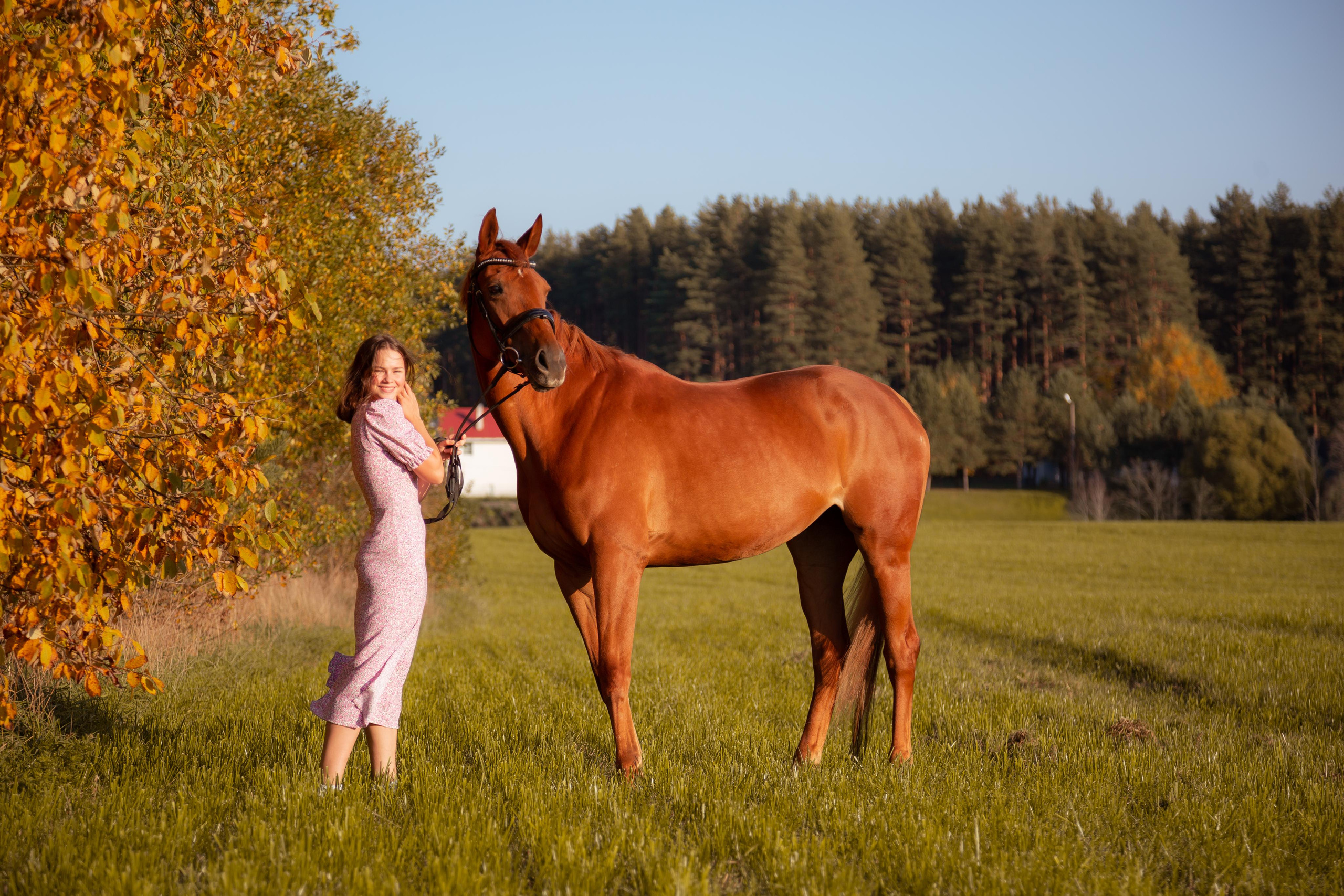 ФОТОСЕССИИ С ЖИВОТНЫМИ. Свадебный фотограф Санкт-Петербург Катерина Ширяева