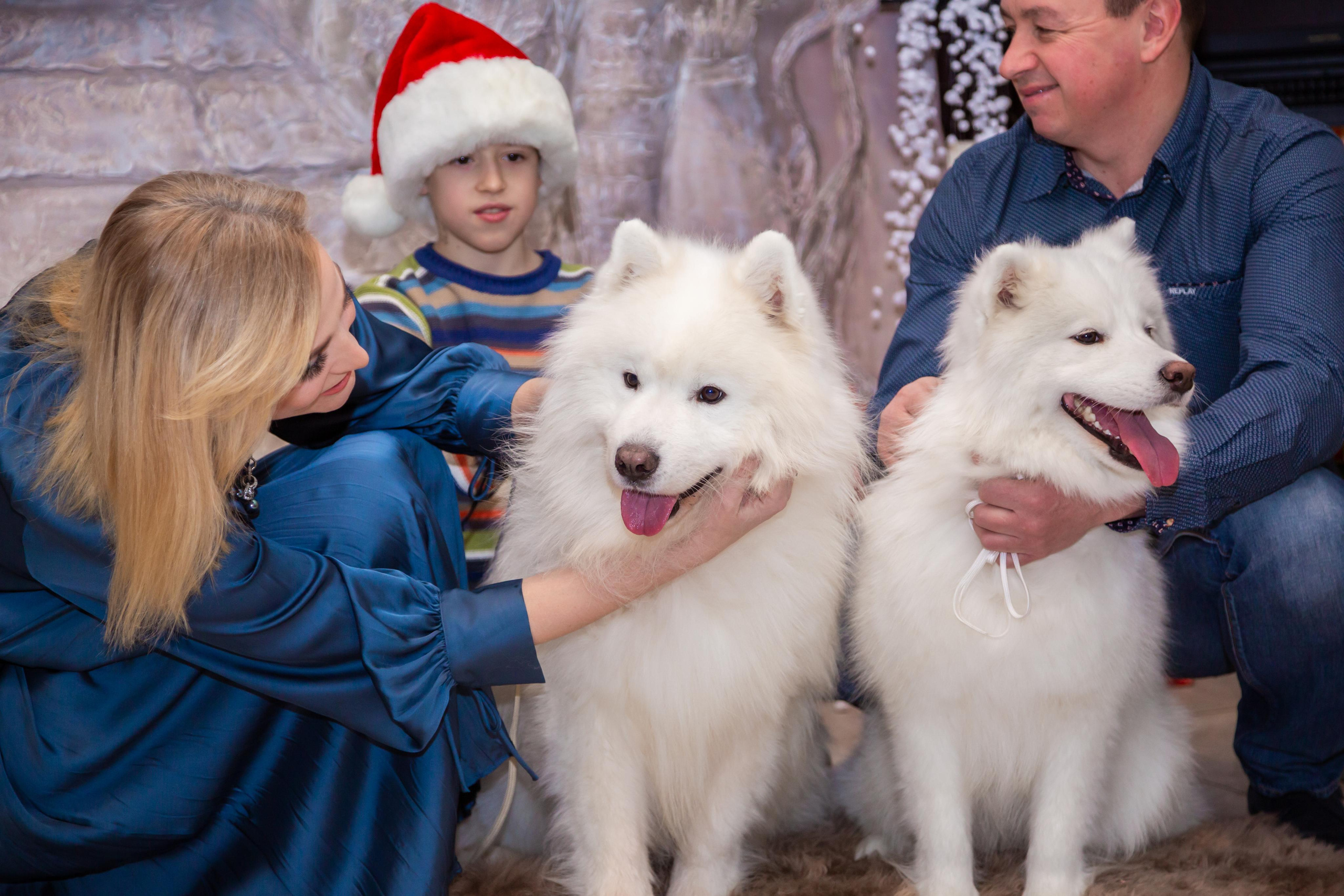 КОРПОРАТИВЫ И ПРАЗДНИКИ. Свадебный фотограф Санкт-Петербург Катерина Ширяева