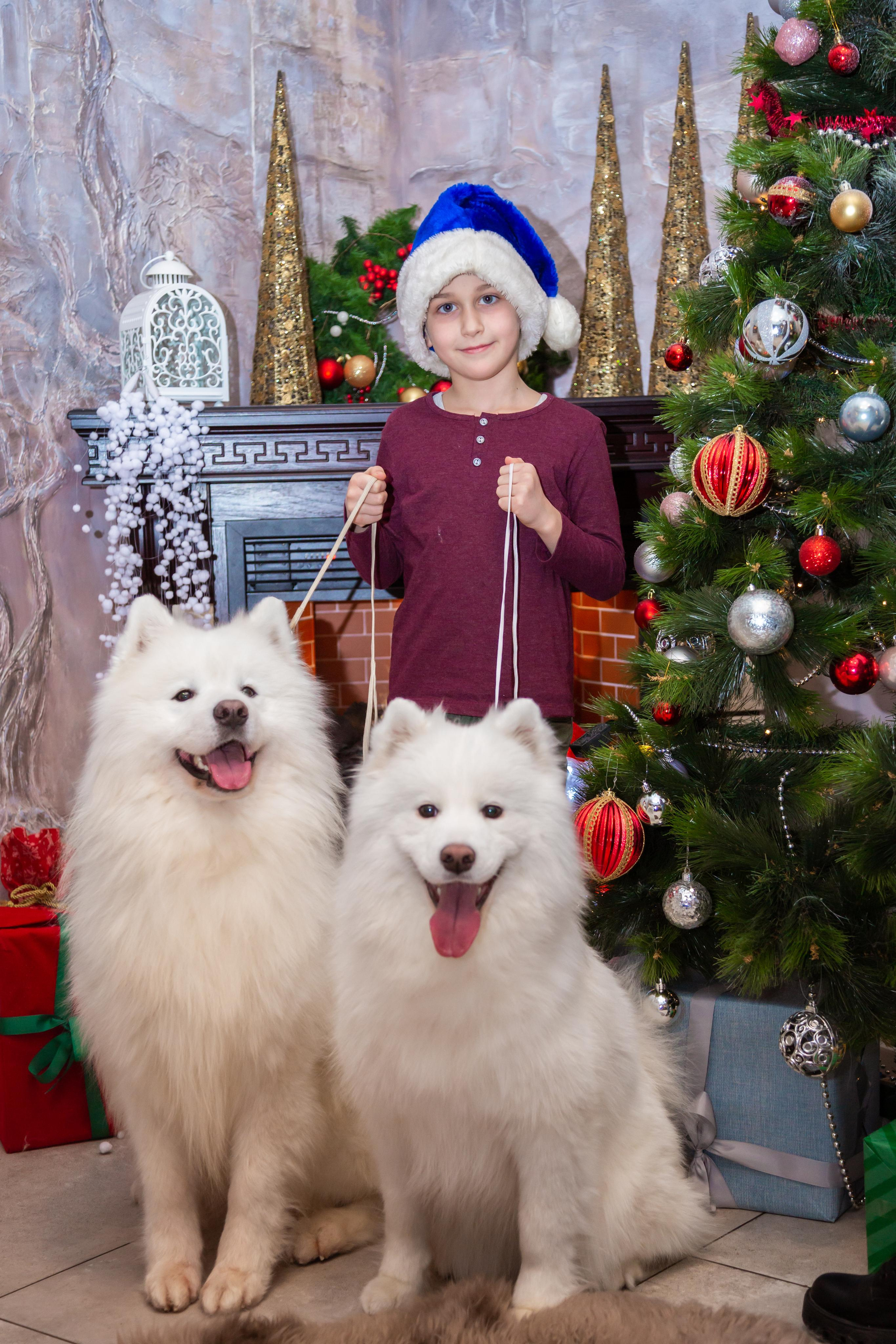 КОРПОРАТИВЫ И ПРАЗДНИКИ. Свадебный фотограф Санкт-Петербург Катерина Ширяева