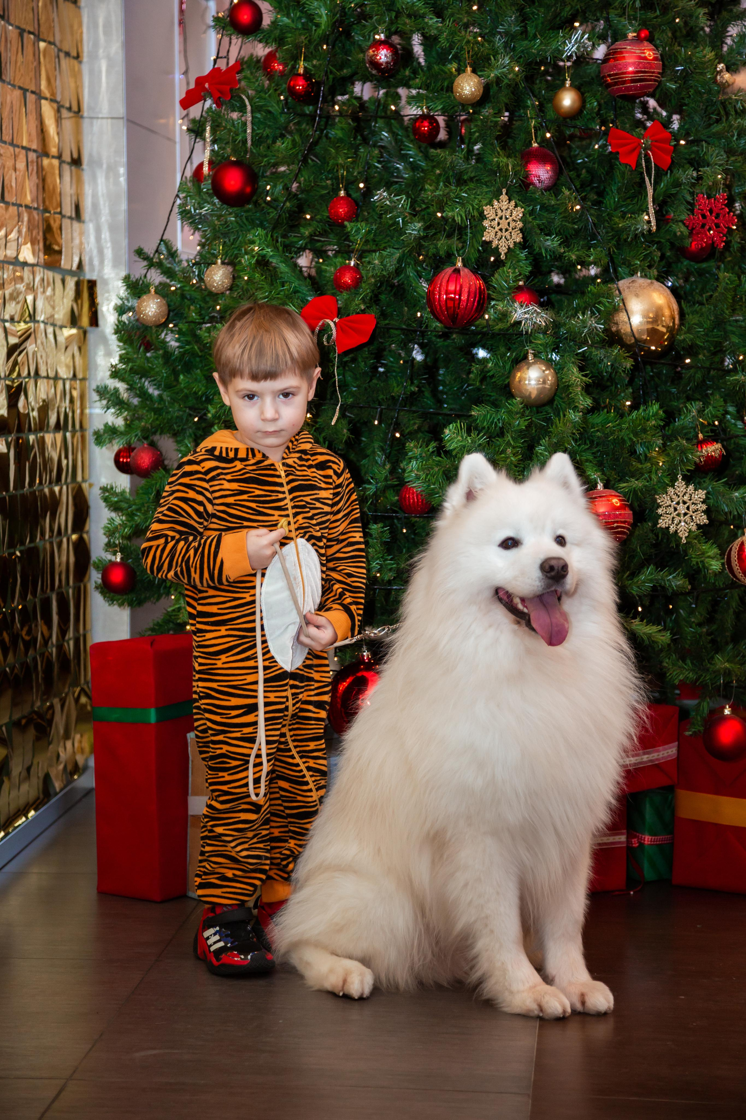 КОРПОРАТИВЫ И ПРАЗДНИКИ. Свадебный фотограф Санкт-Петербург Катерина Ширяева