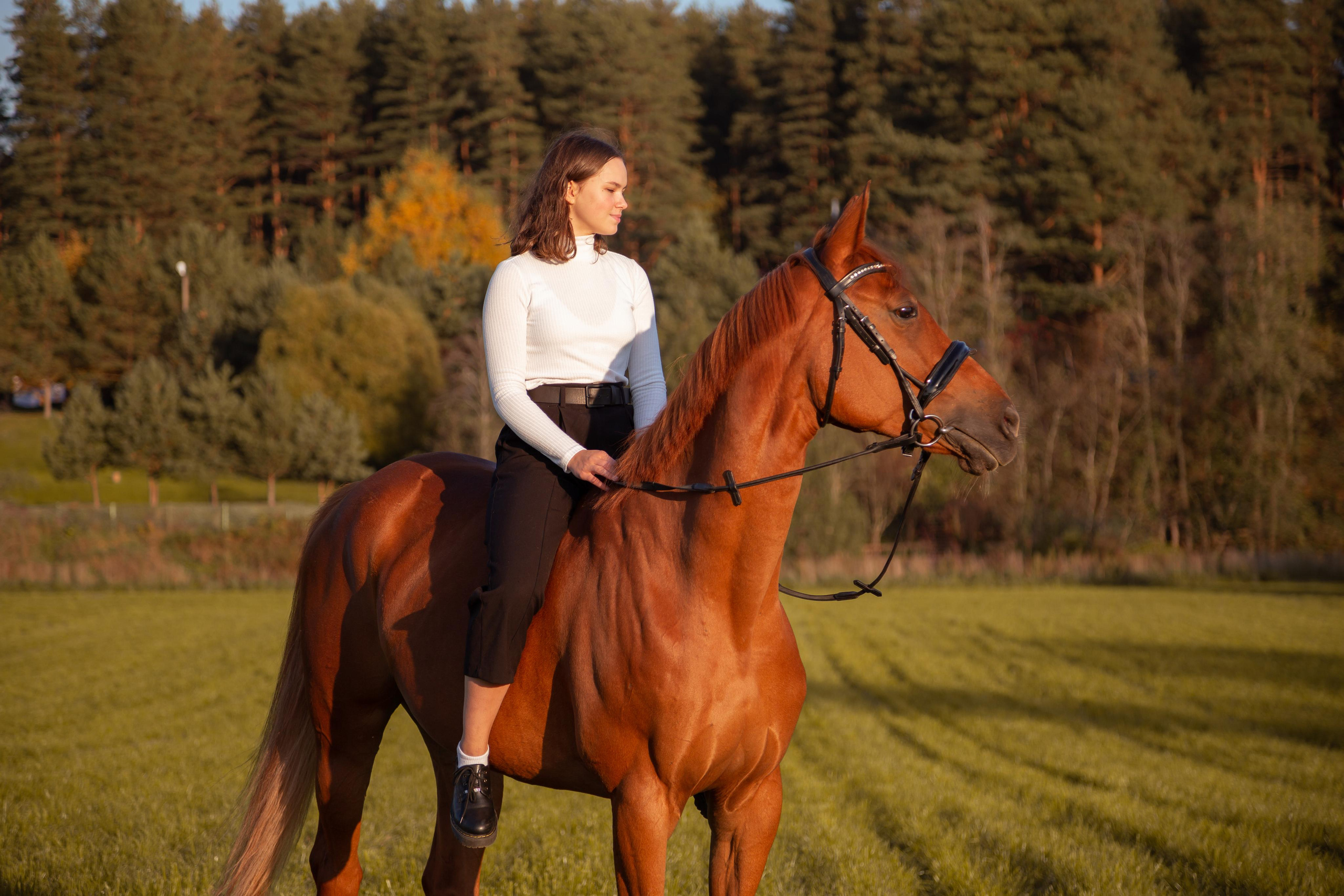 ФОТОСЕССИИ С ЖИВОТНЫМИ. Свадебный фотограф Санкт-Петербург Катерина Ширяева