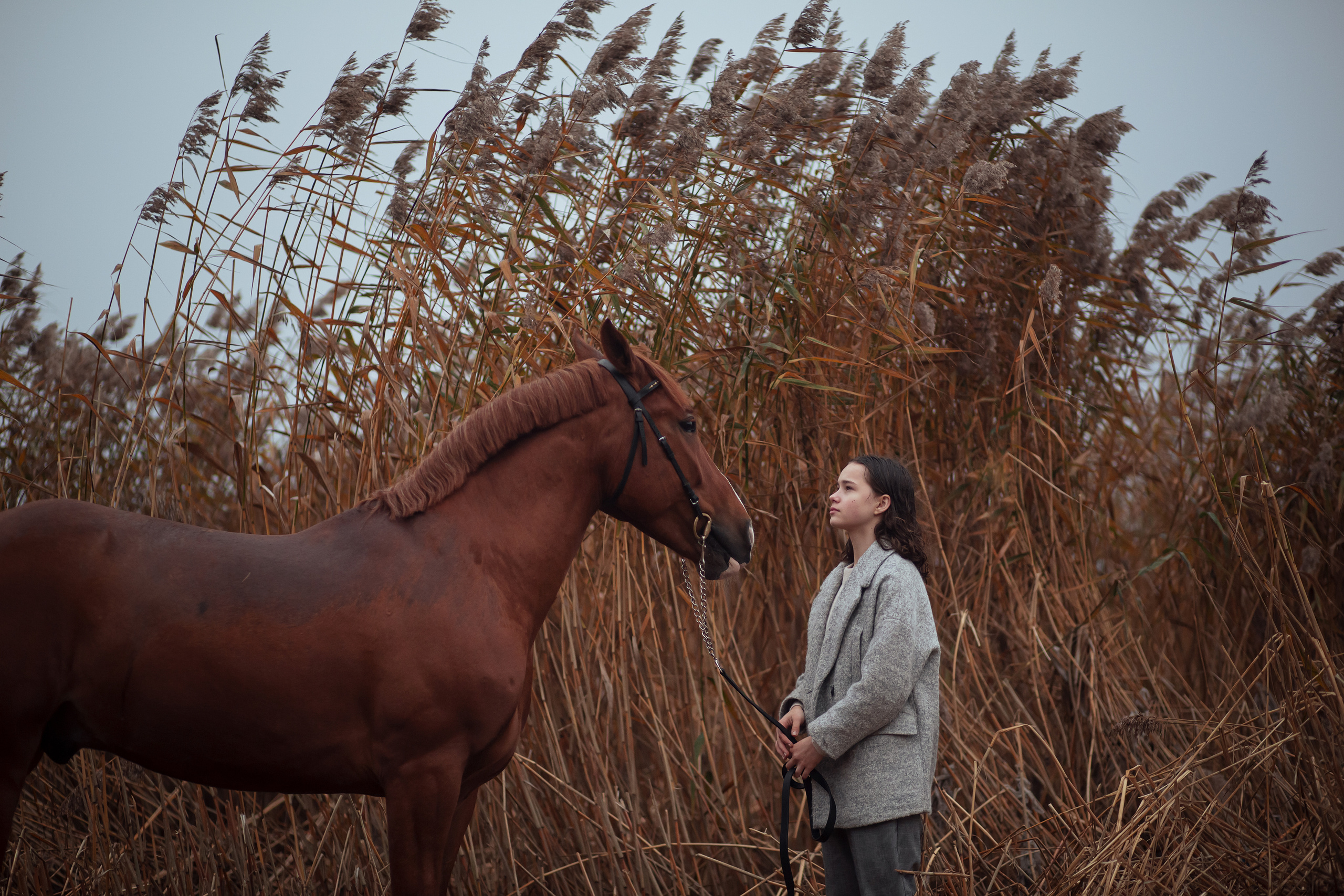 ФОТОСЕССИИ С ЖИВОТНЫМИ. Свадебный фотограф Санкт-Петербург Катерина Ширяева