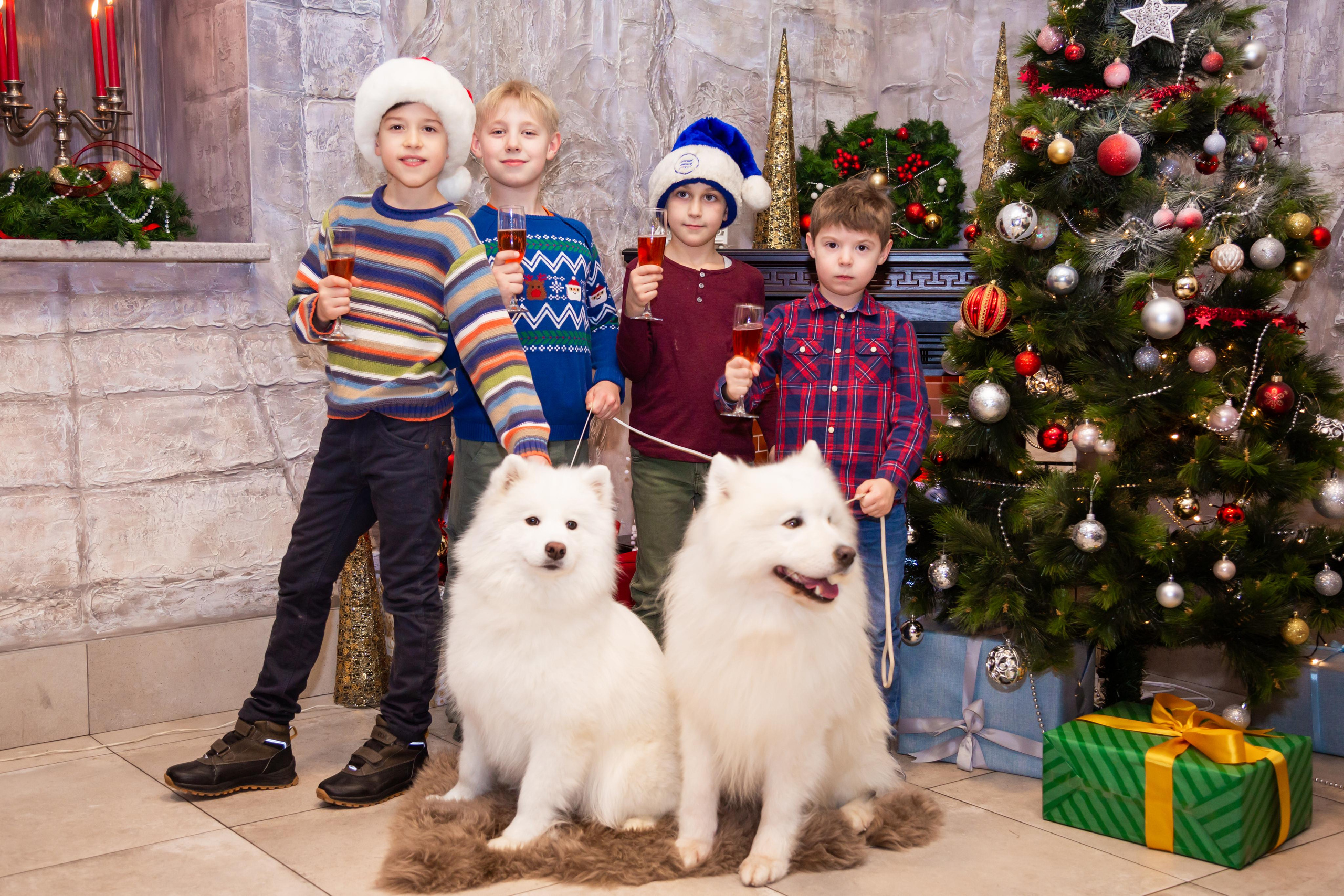 КОРПОРАТИВЫ И ПРАЗДНИКИ. Свадебный фотограф Санкт-Петербург Катерина Ширяева