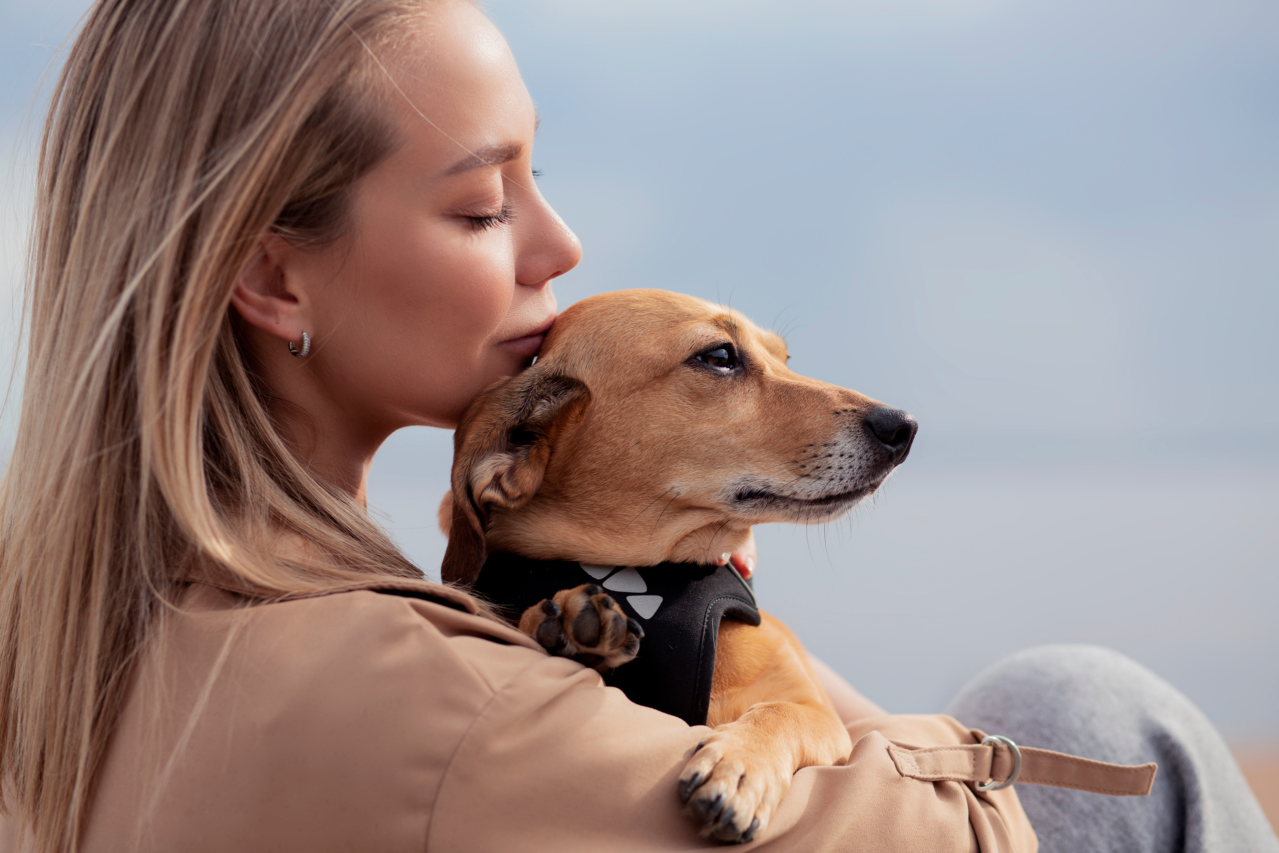ФОТОСЕССИИ С ЖИВОТНЫМИ. Свадебный фотограф Санкт-Петербург Катерина Ширяева