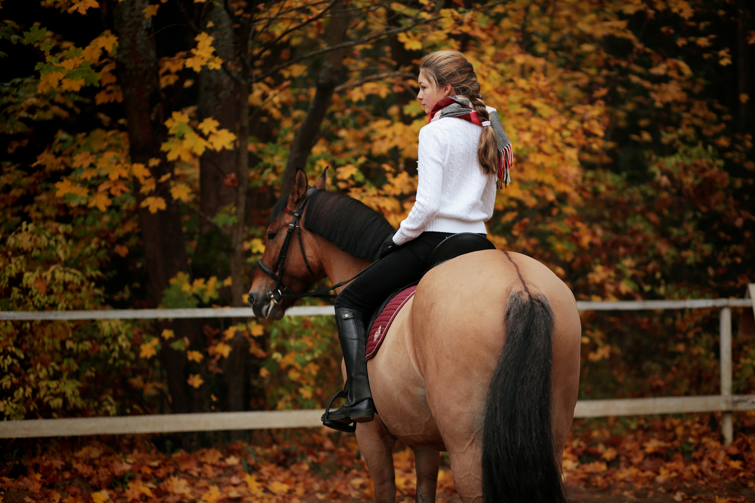 ФОТОСЕССИИ С ЖИВОТНЫМИ. Свадебный фотограф Санкт-Петербург Катерина Ширяева