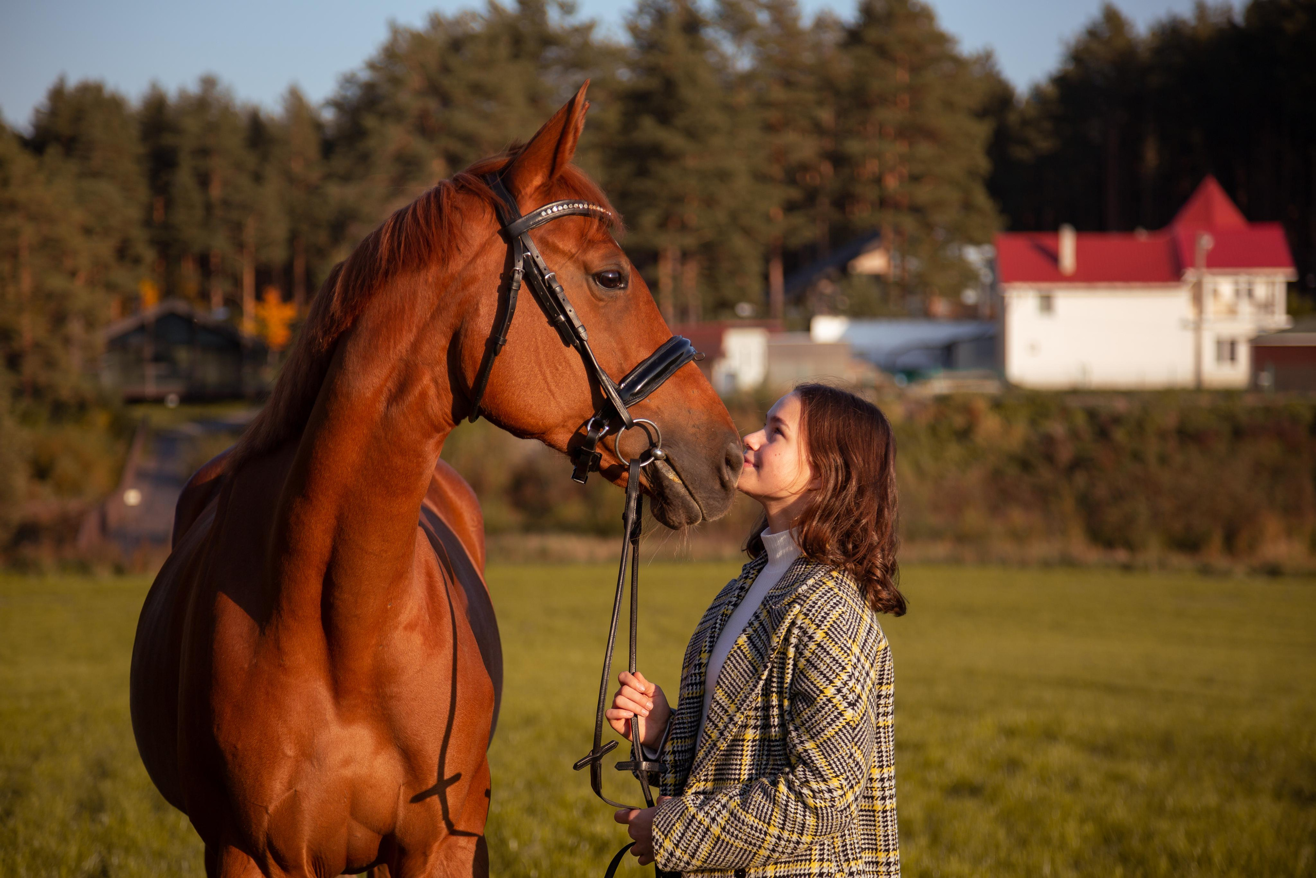 ФОТОСЕССИИ С ЖИВОТНЫМИ. Свадебный фотограф Санкт-Петербург Катерина Ширяева