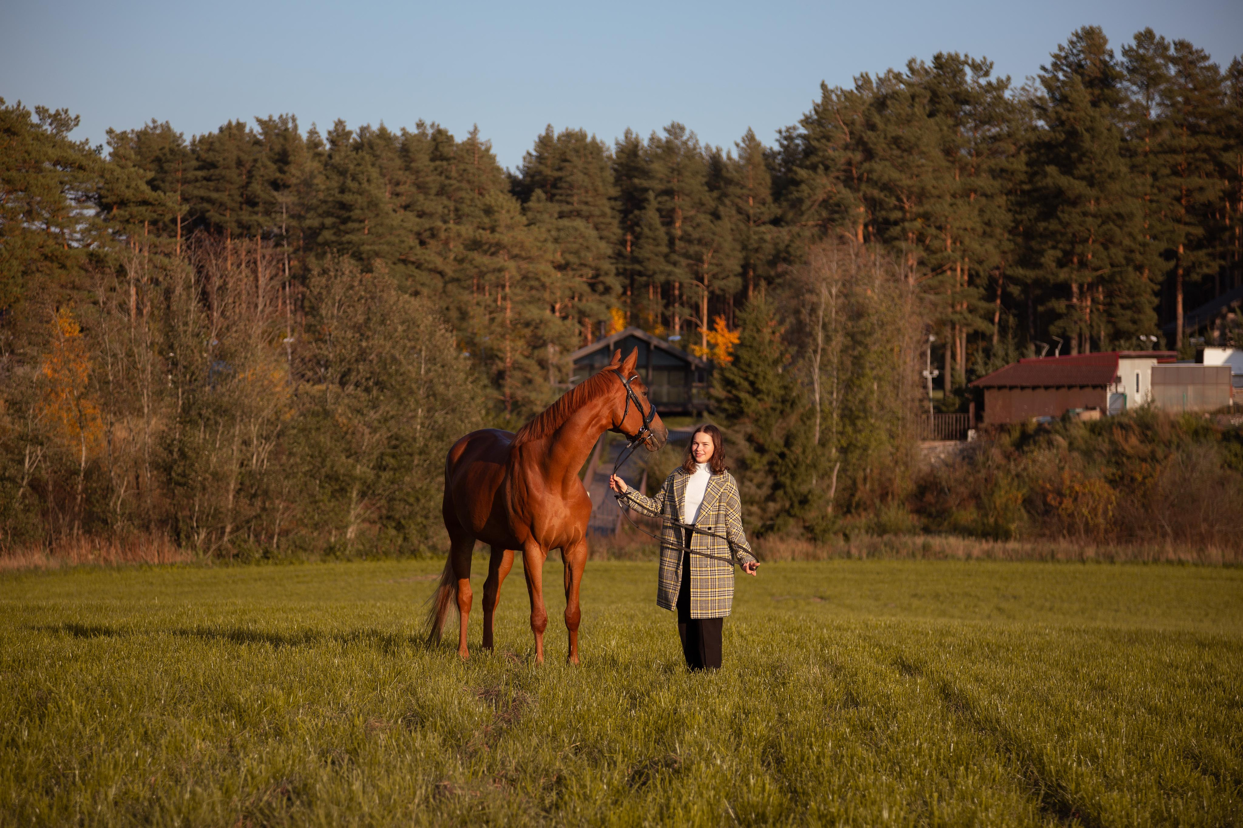 ФОТОСЕССИИ С ЖИВОТНЫМИ. Свадебный фотограф Санкт-Петербург Катерина Ширяева
