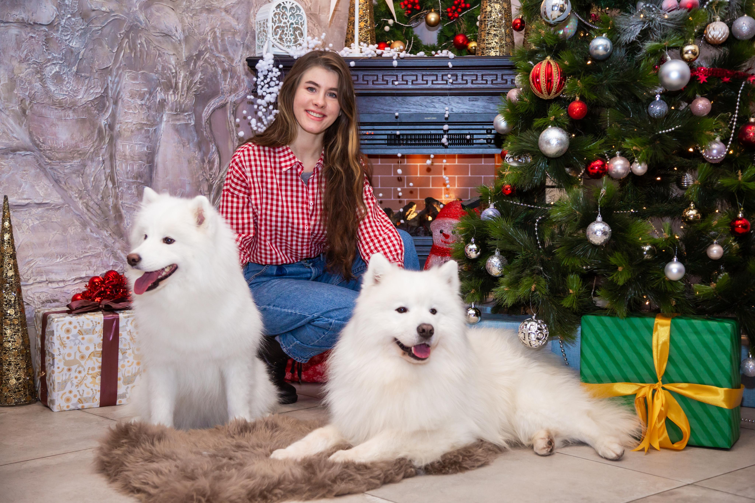 КОРПОРАТИВЫ И ПРАЗДНИКИ. Свадебный фотограф Санкт-Петербург Катерина Ширяева