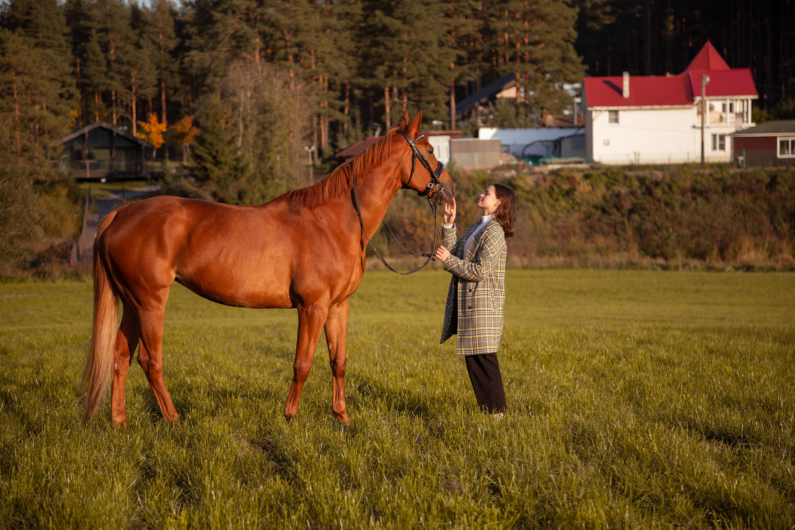 ФОТОСЕССИИ С ЖИВОТНЫМИ. Свадебный фотограф Санкт-Петербург Катерина Ширяева