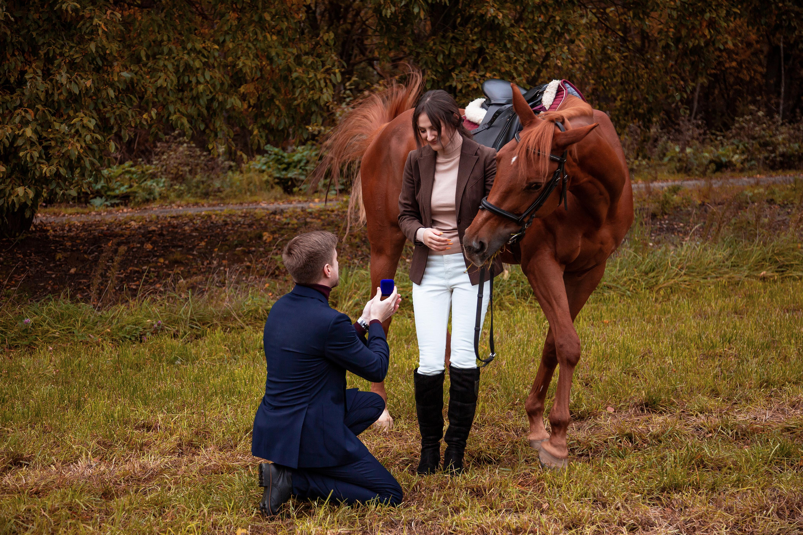 ФОТОСЕССИИ С ЖИВОТНЫМИ. Свадебный фотограф Санкт-Петербург Катерина Ширяева