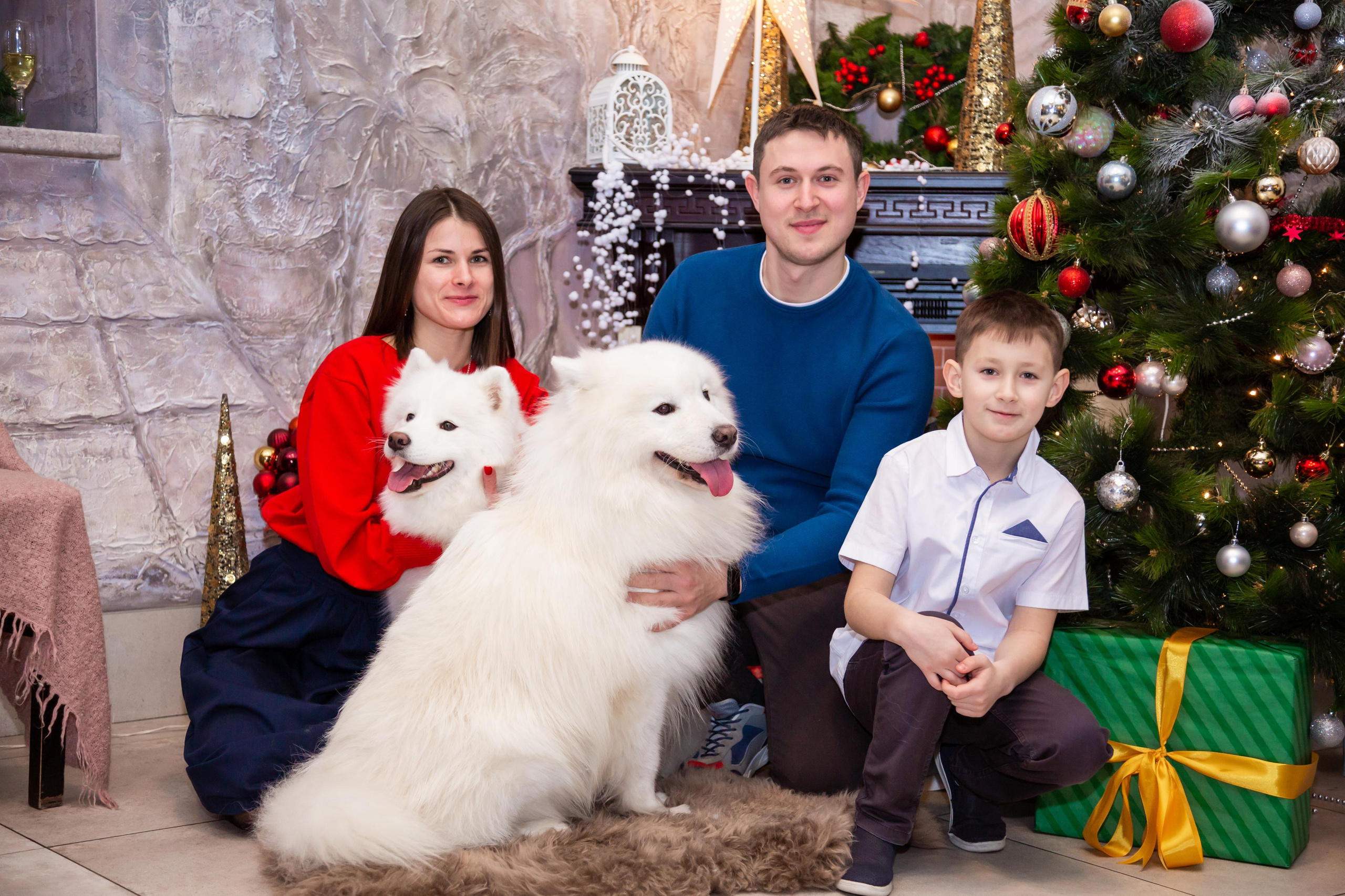 КОРПОРАТИВЫ И ПРАЗДНИКИ. Свадебный фотограф Санкт-Петербург Катерина Ширяева