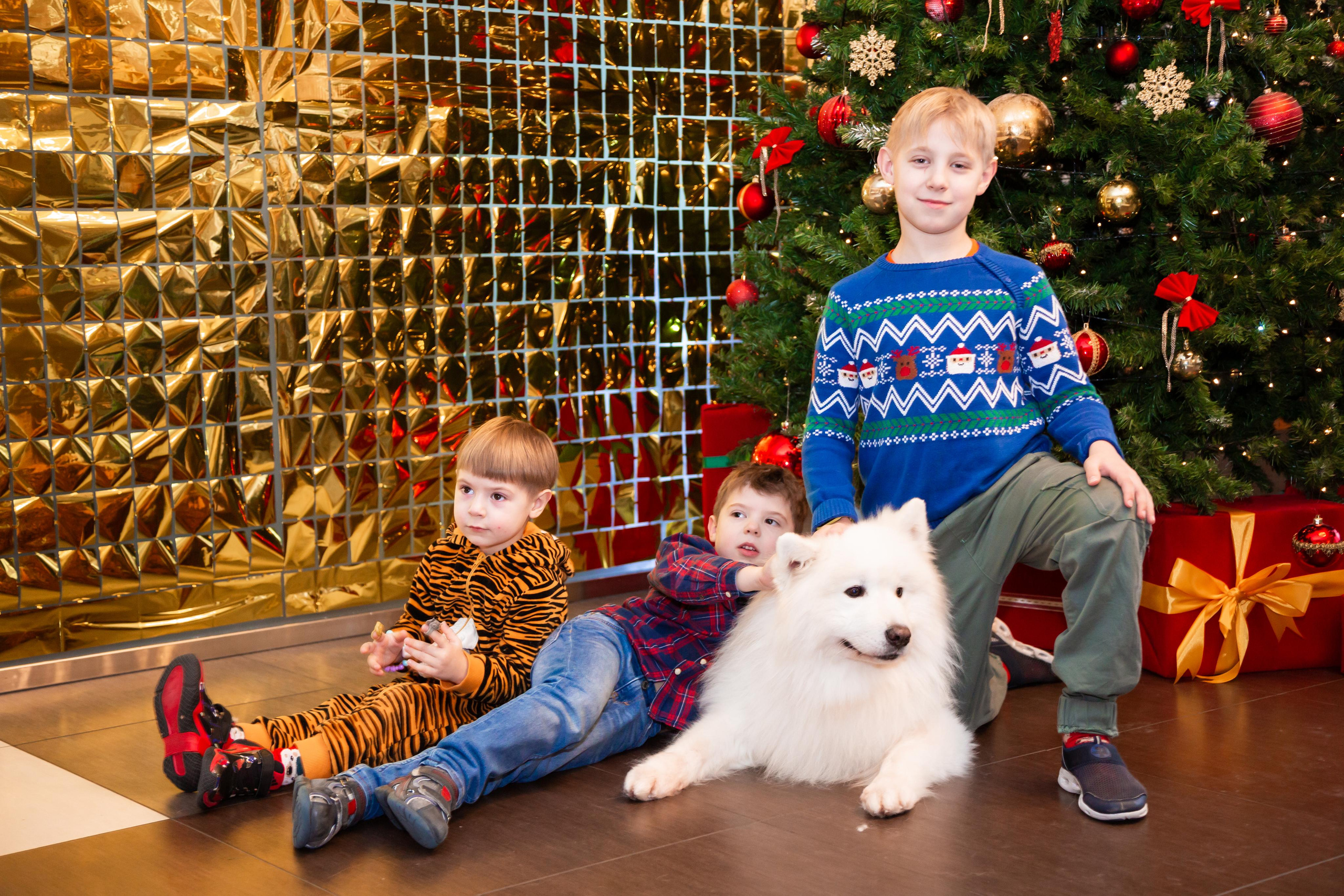 КОРПОРАТИВЫ И ПРАЗДНИКИ. Свадебный фотограф Санкт-Петербург Катерина Ширяева