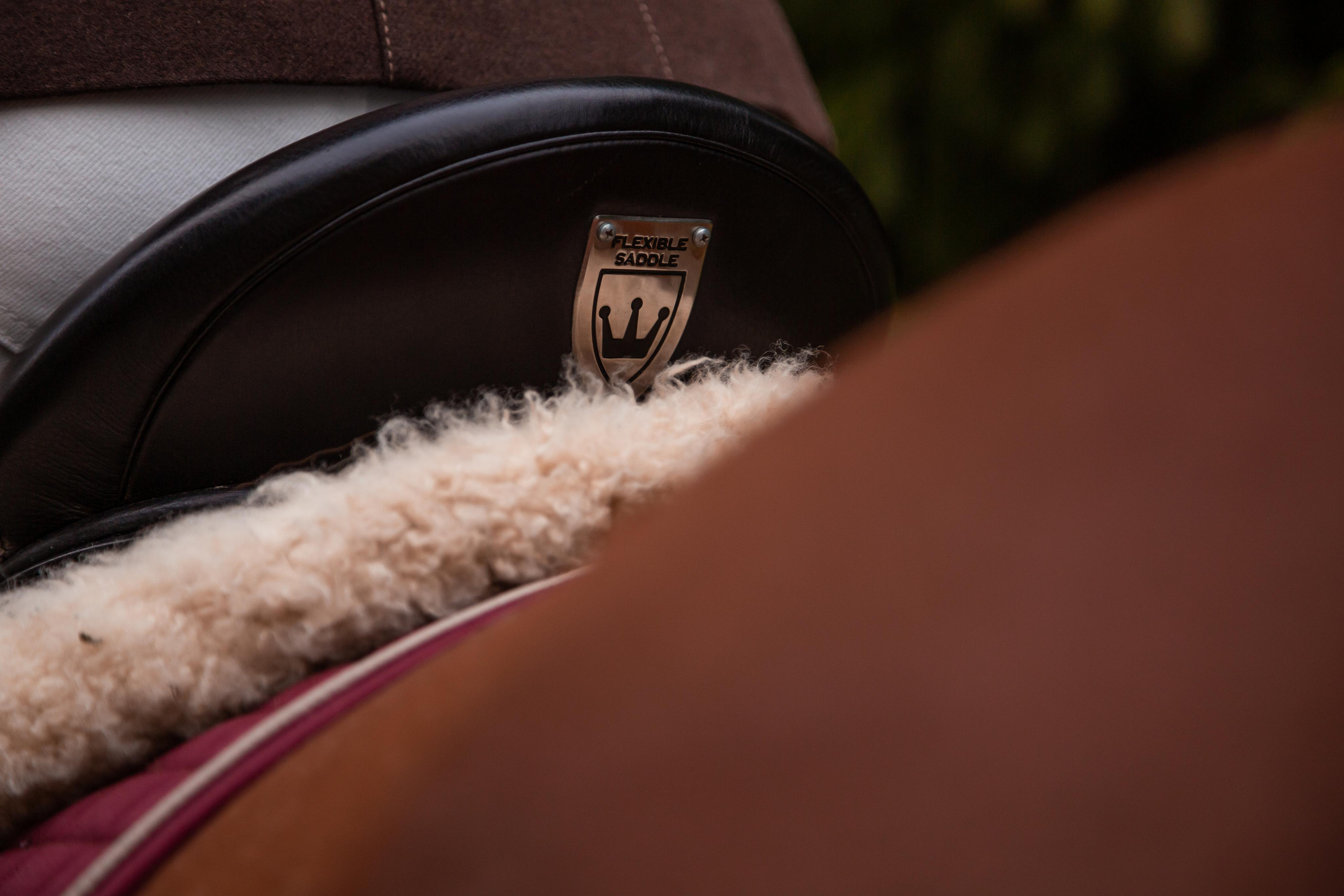 ФОТОСЕССИИ С ЖИВОТНЫМИ. Свадебный фотограф Санкт-Петербург Катерина Ширяева