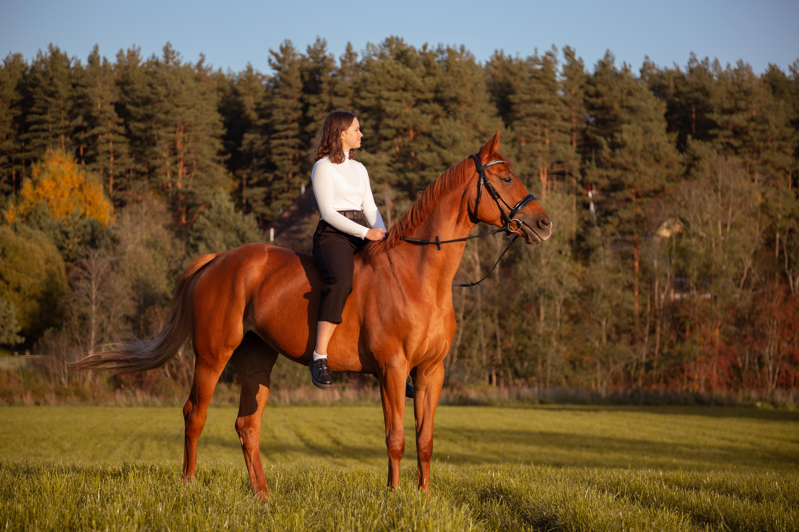ФОТОСЕССИИ С ЖИВОТНЫМИ. Свадебный фотограф Санкт-Петербург Катерина Ширяева