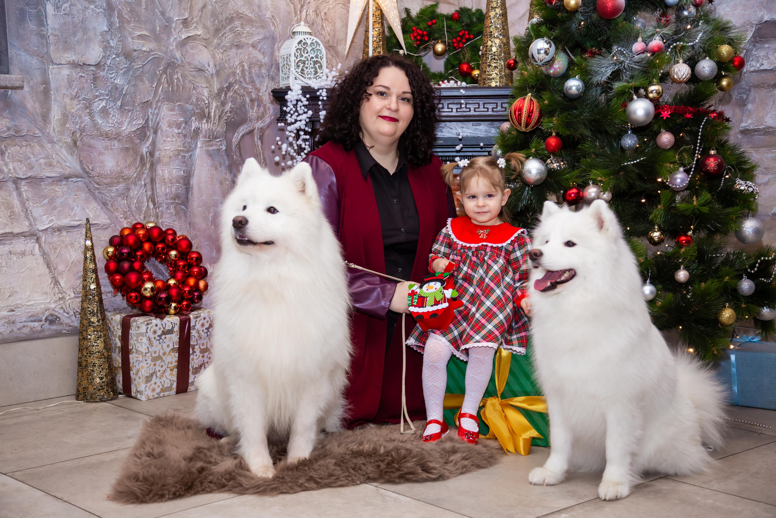 КОРПОРАТИВЫ И ПРАЗДНИКИ. Свадебный фотограф Санкт-Петербург Катерина Ширяева