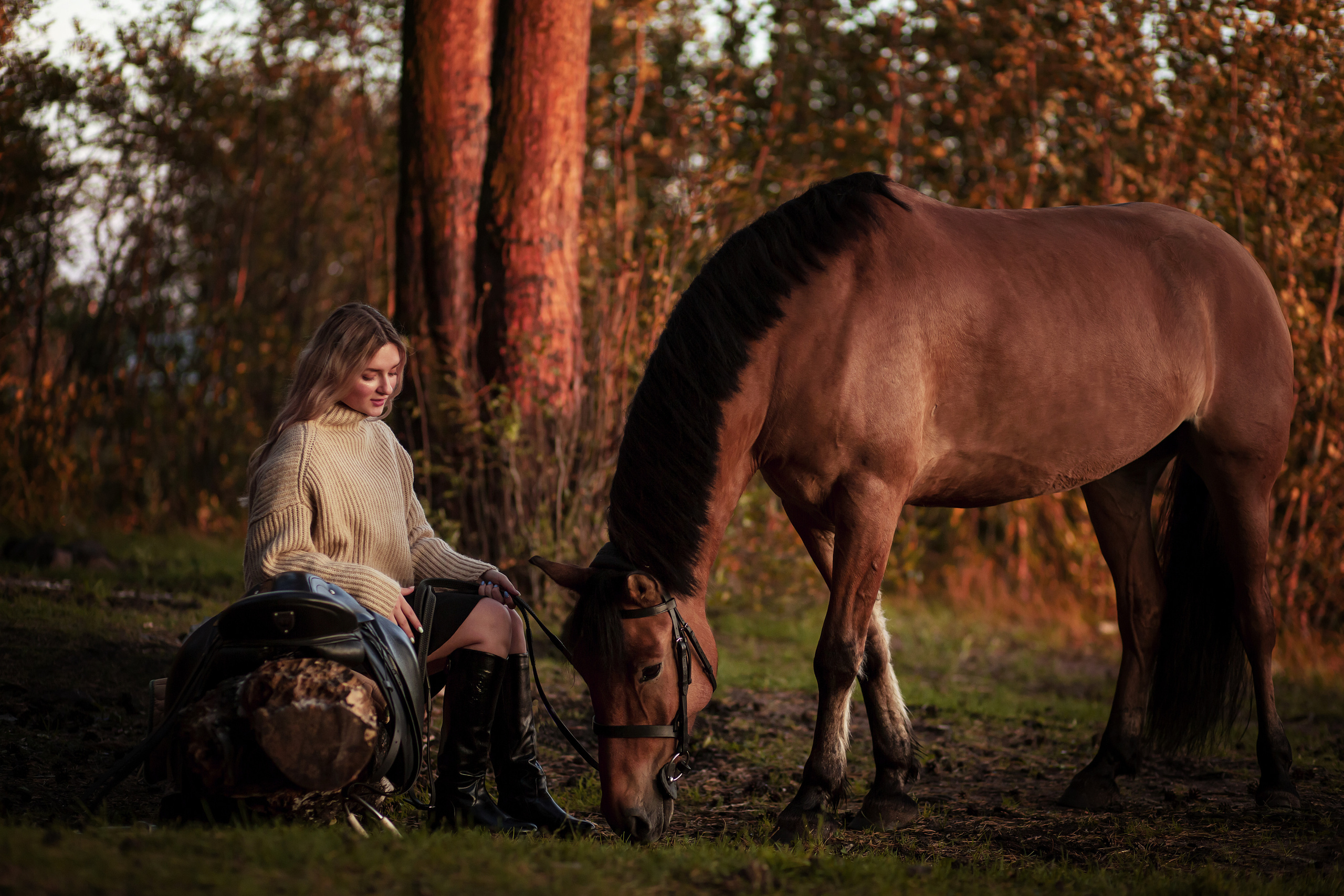 ФОТОСЕССИИ С ЖИВОТНЫМИ. Свадебный фотограф Санкт-Петербург Катерина Ширяева