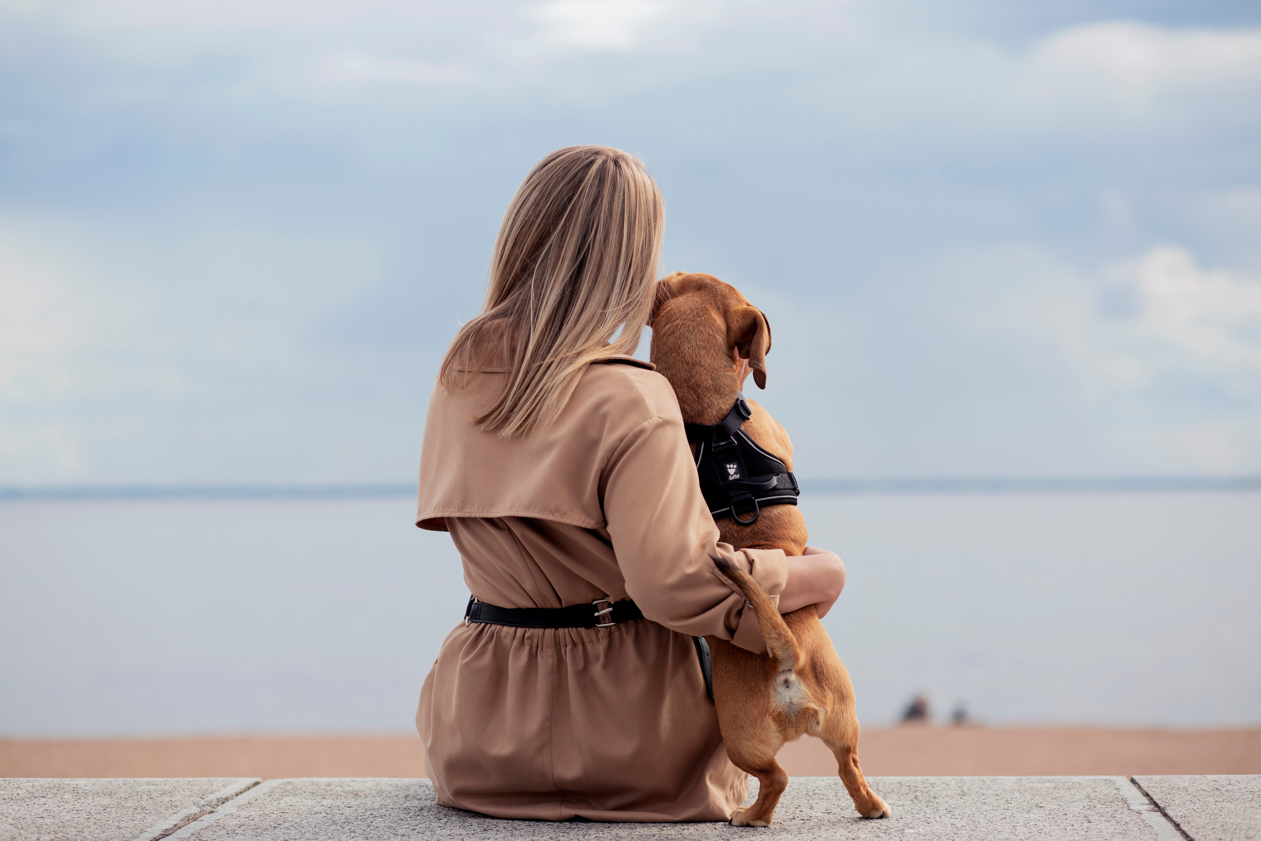 ФОТОСЕССИИ С ЖИВОТНЫМИ. Свадебный фотограф Санкт-Петербург Катерина Ширяева