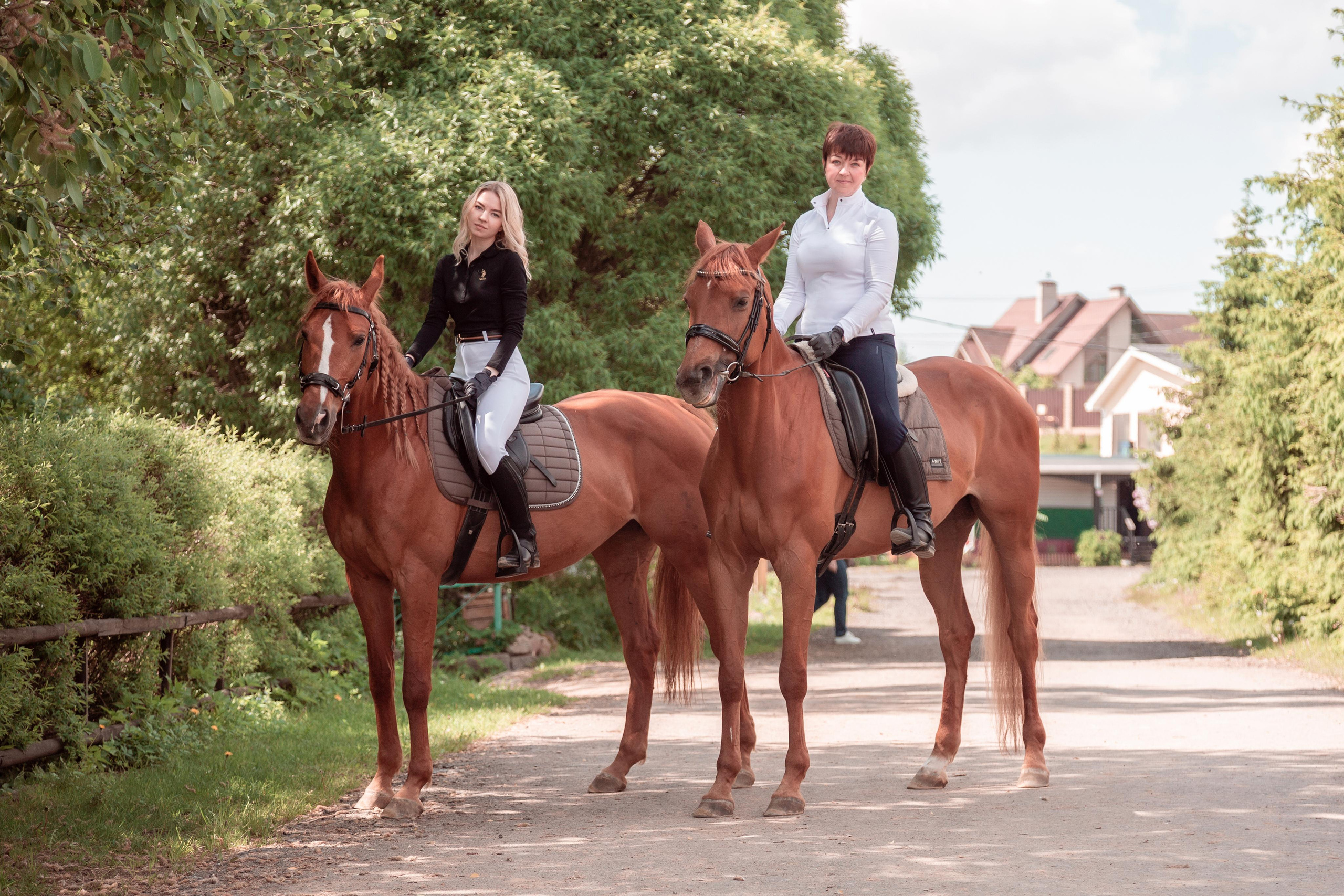 ФОТОСЕССИИ С ЖИВОТНЫМИ. Свадебный фотограф Санкт-Петербург Катерина Ширяева