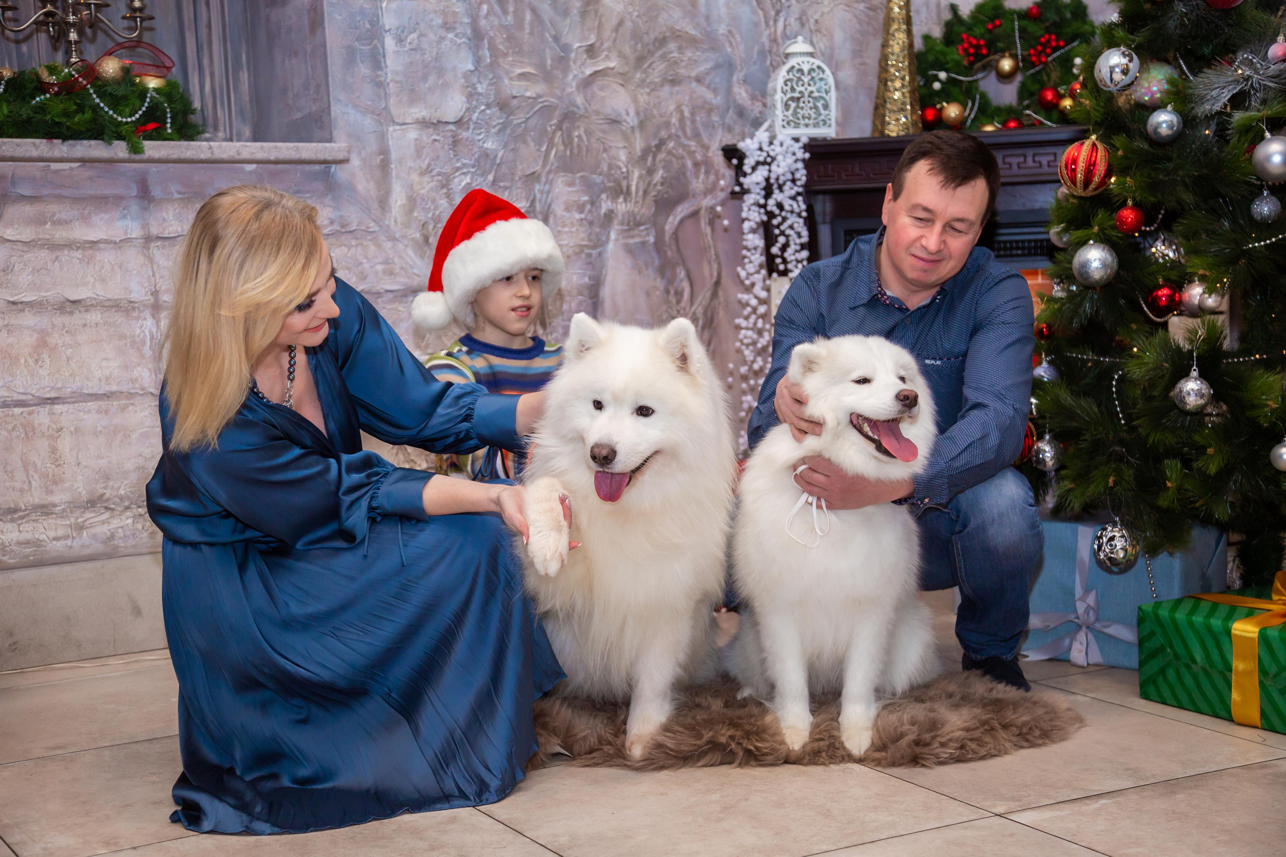 КОРПОРАТИВЫ И ПРАЗДНИКИ. Свадебный фотограф Санкт-Петербург Катерина Ширяева