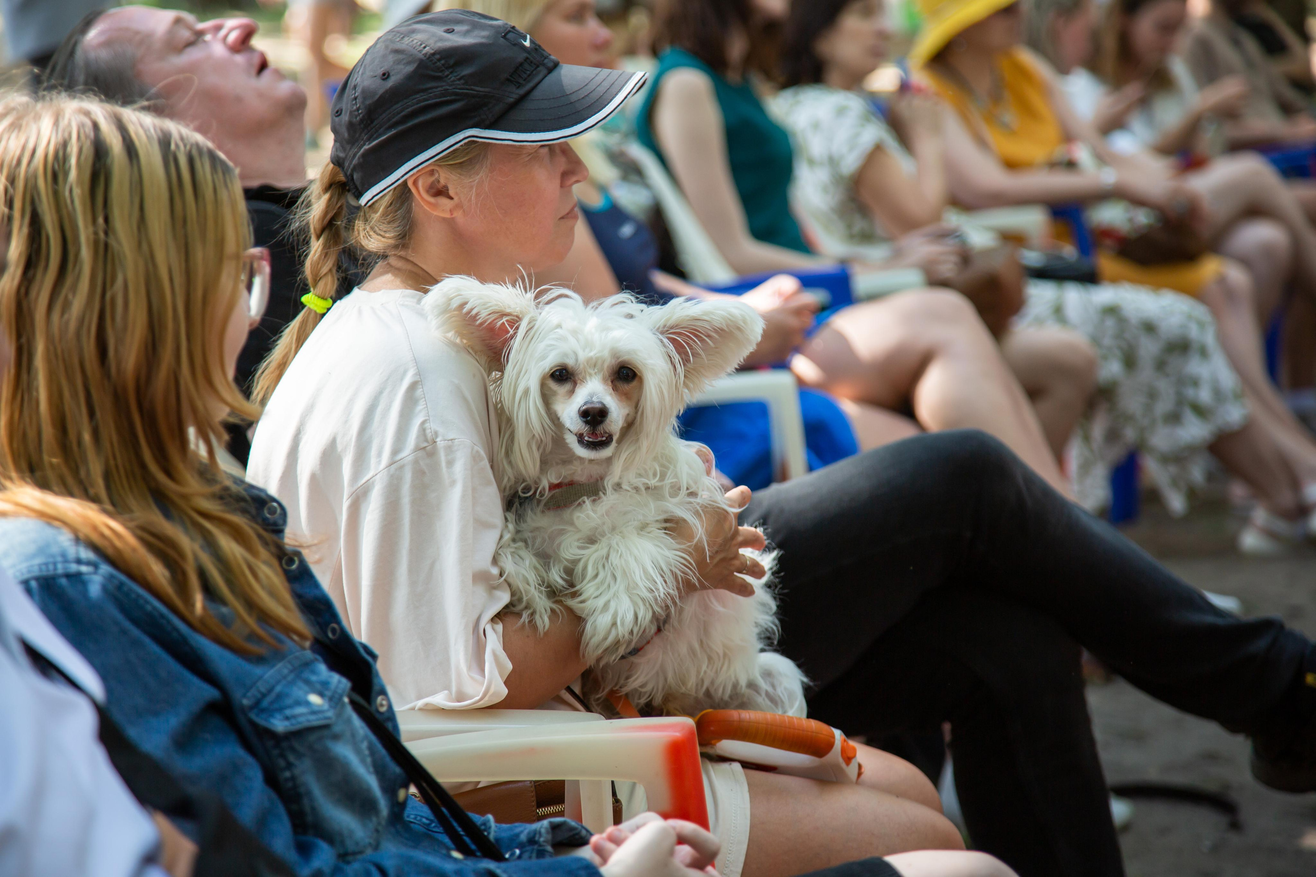 МЕРОПРИЯТИЯ РЕПОРТАЖ. Свадебный фотограф Санкт-Петербург Катерина Ширяева