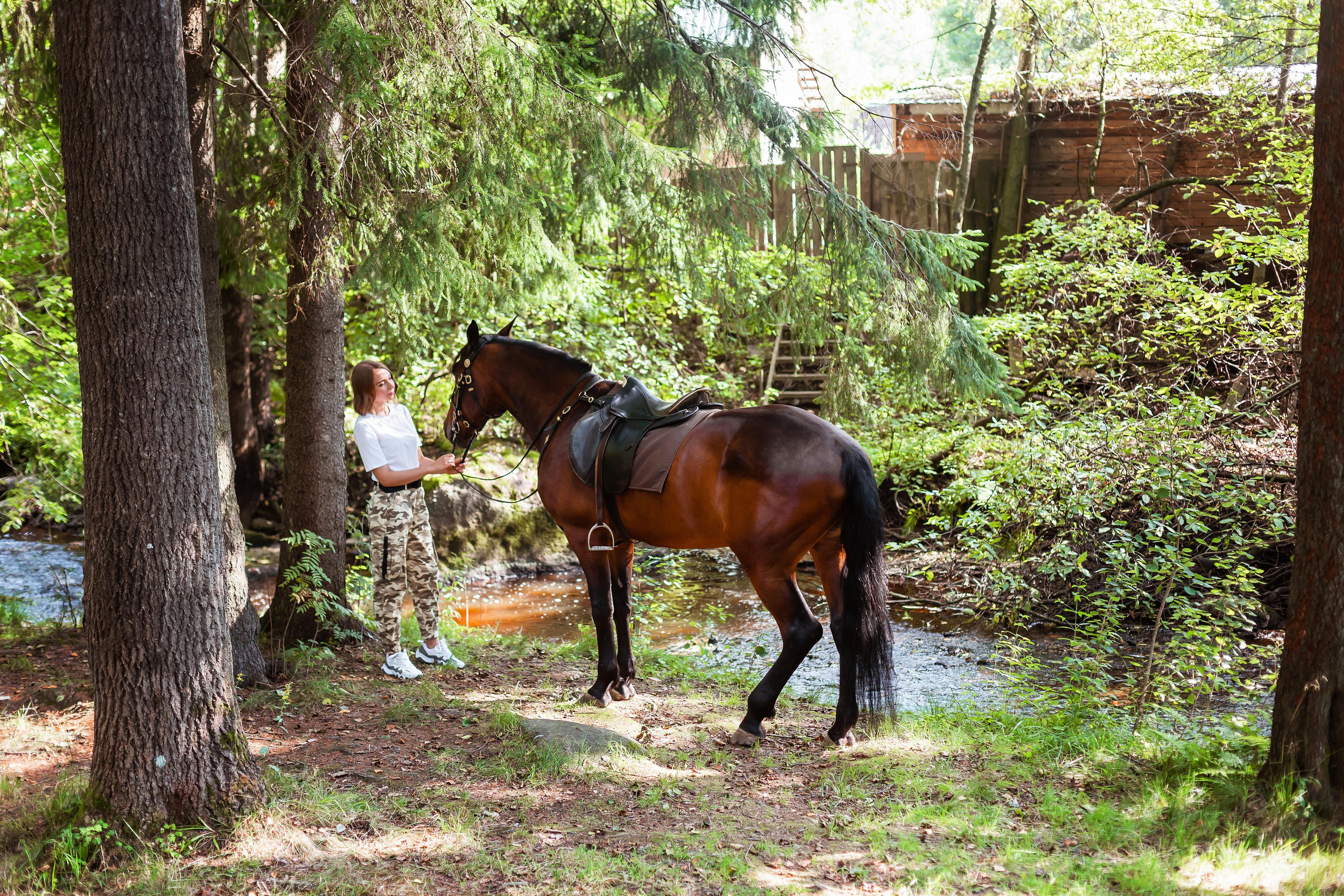 ФОТОСЕССИИ С ЖИВОТНЫМИ. Свадебный фотограф Санкт-Петербург Катерина Ширяева