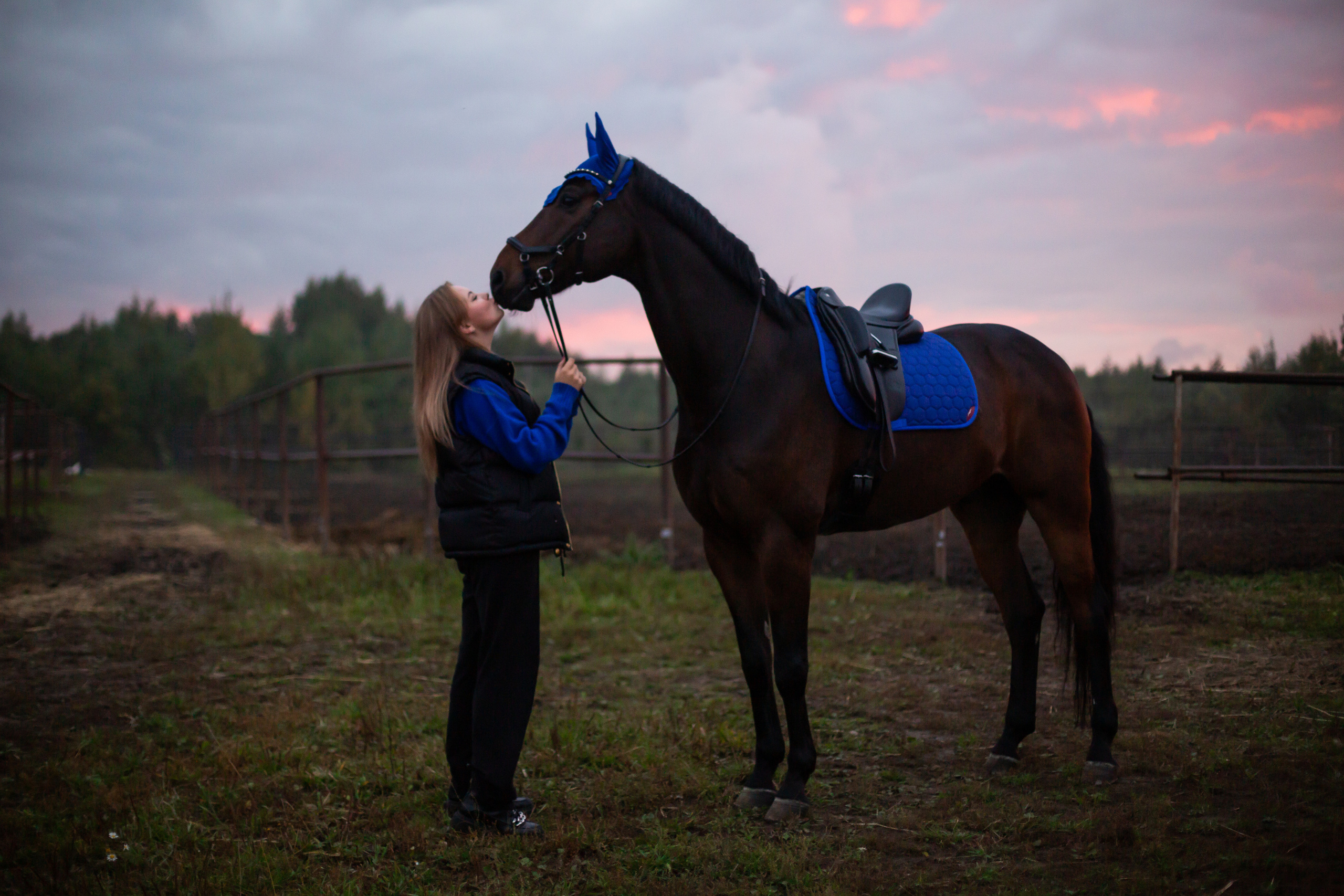 ФОТОСЕССИИ С ЖИВОТНЫМИ. Свадебный фотограф Санкт-Петербург Катерина Ширяева