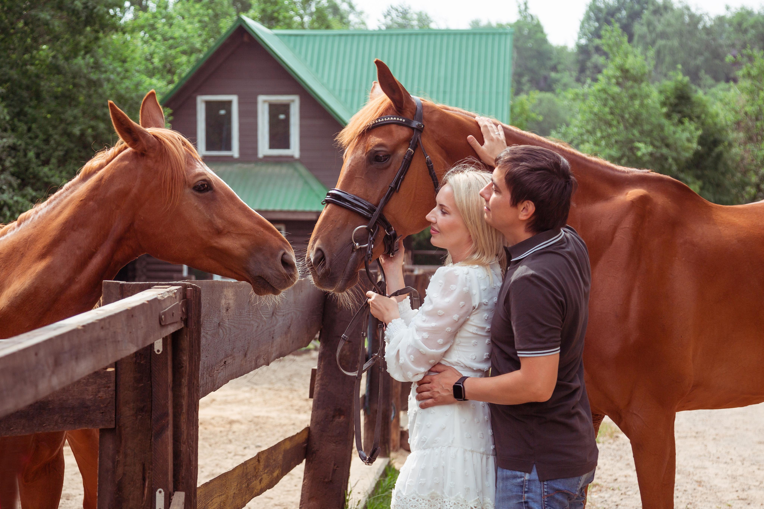 ФОТОСЕССИИ С ЖИВОТНЫМИ. Свадебный фотограф Санкт-Петербург Катерина Ширяева