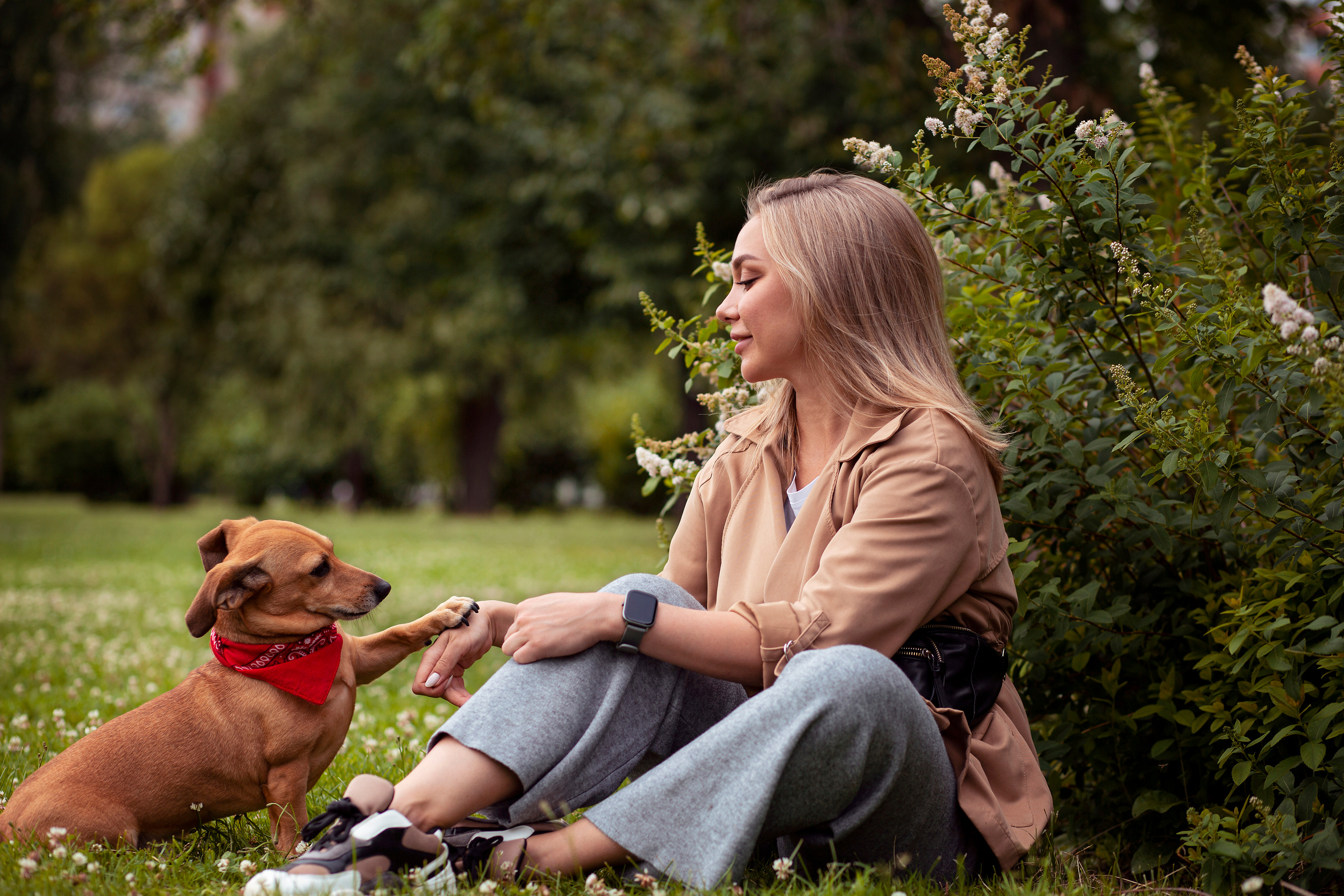 ФОТОСЕССИИ С ЖИВОТНЫМИ. Свадебный фотограф Санкт-Петербург Катерина Ширяева