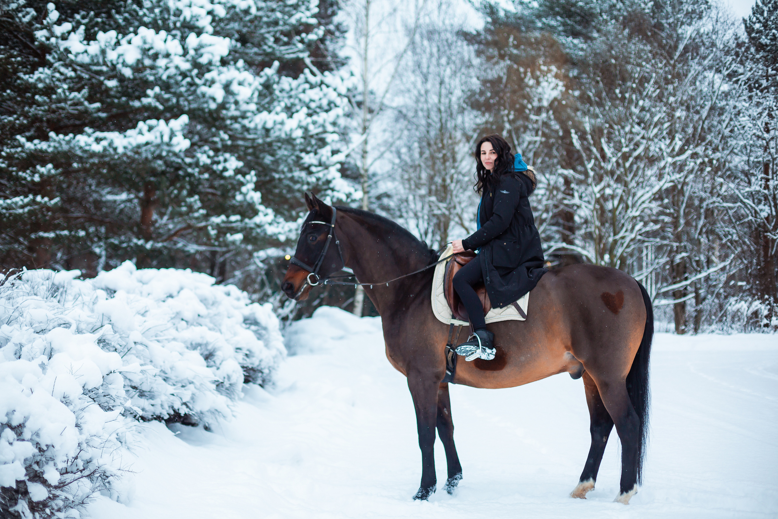 ФОТОСЕССИИ С ЖИВОТНЫМИ. Свадебный фотограф Санкт-Петербург Катерина Ширяева